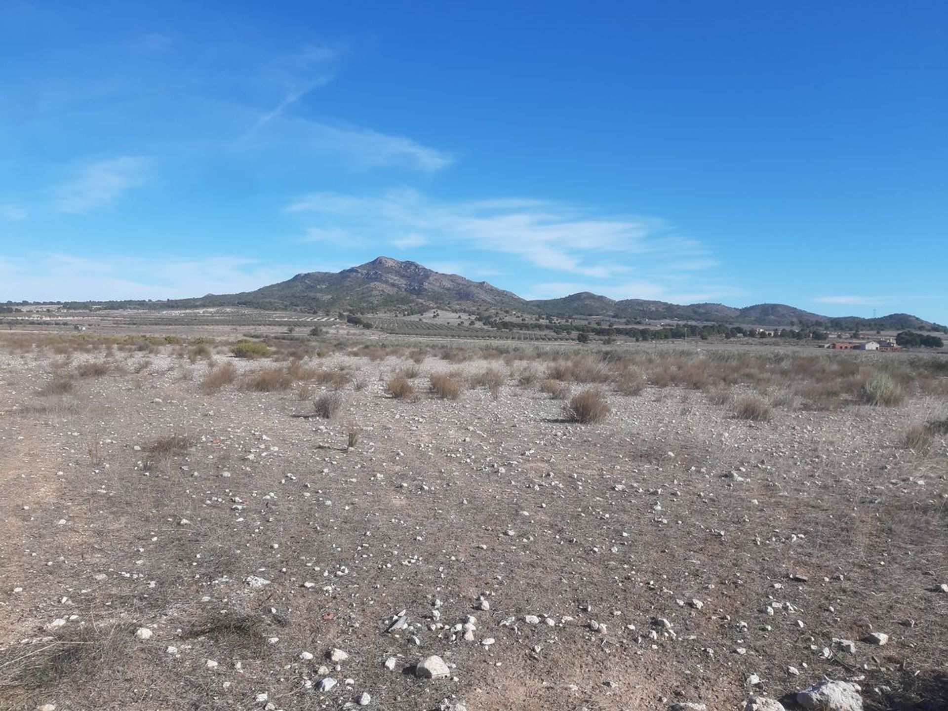 Tierra en les Salines d'Elda, Comunidad Valenciana 11081669