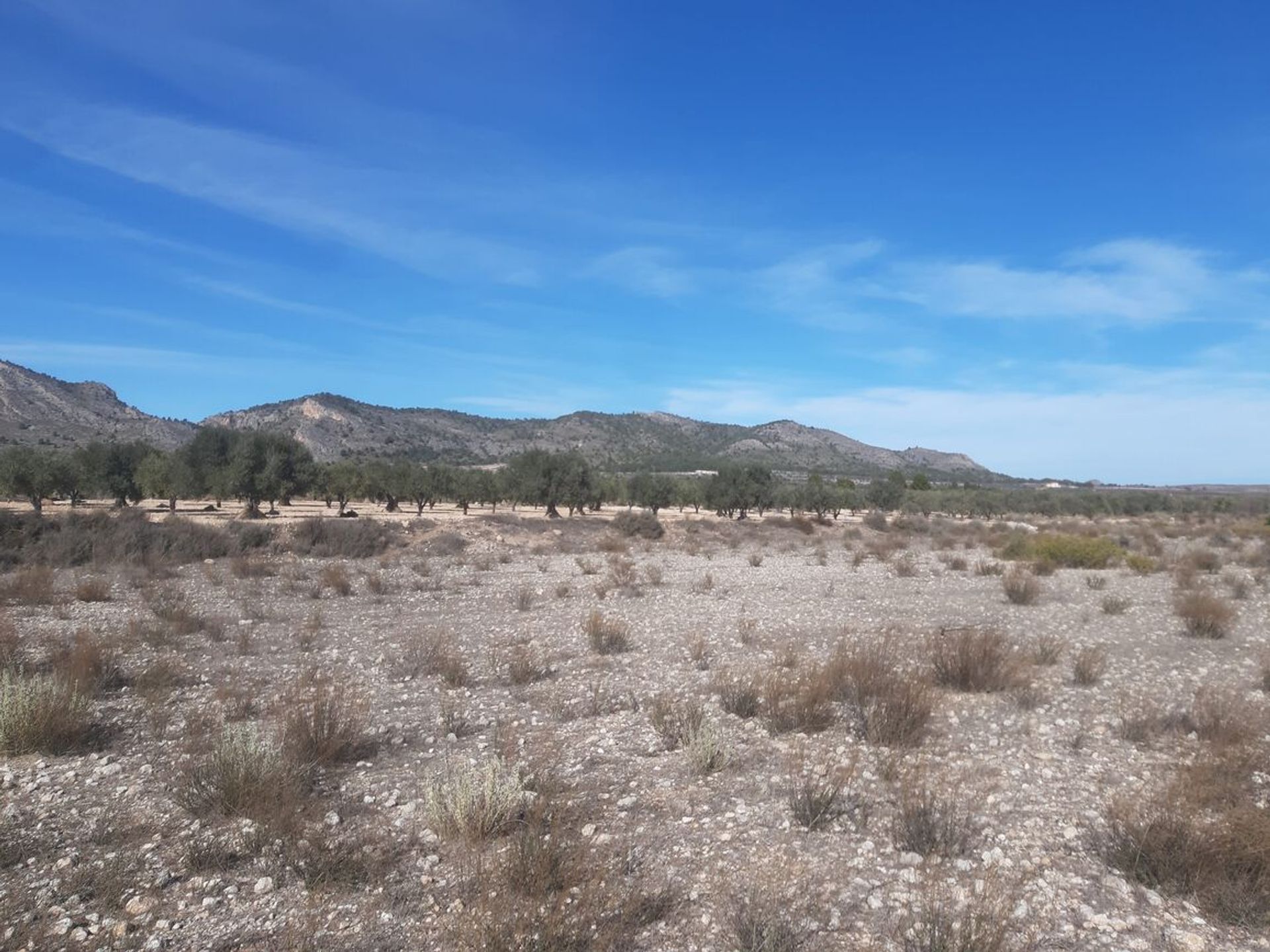 Tierra en les Salines d'Elda, Comunidad Valenciana 11081669