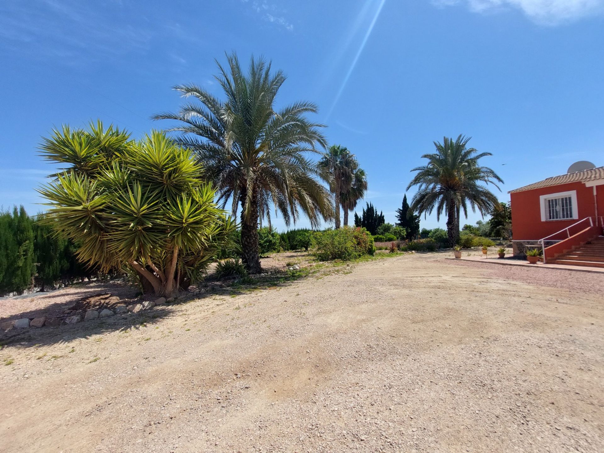 Hus i San Miguel de Salinas, Comunidad Valenciana 11082210