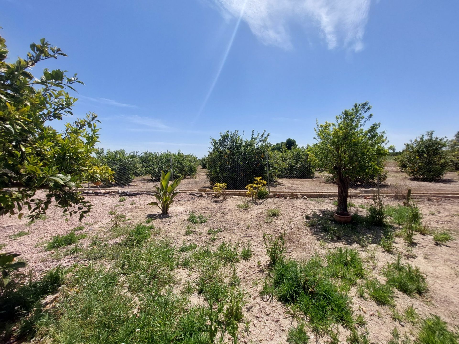 Hus i San Miguel de Salinas, Comunidad Valenciana 11082210