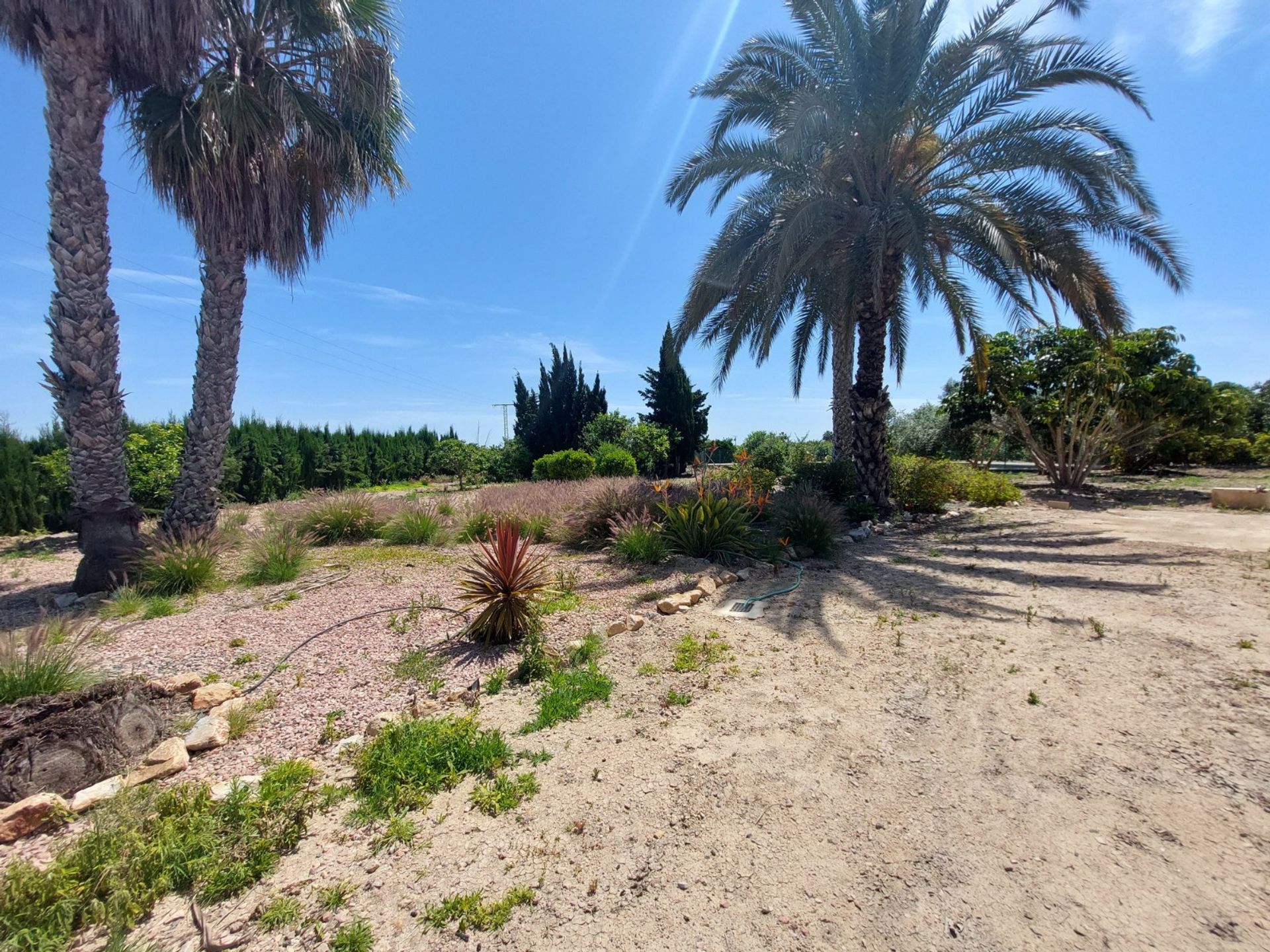 Hus i San Miguel de Salinas, Comunidad Valenciana 11082210