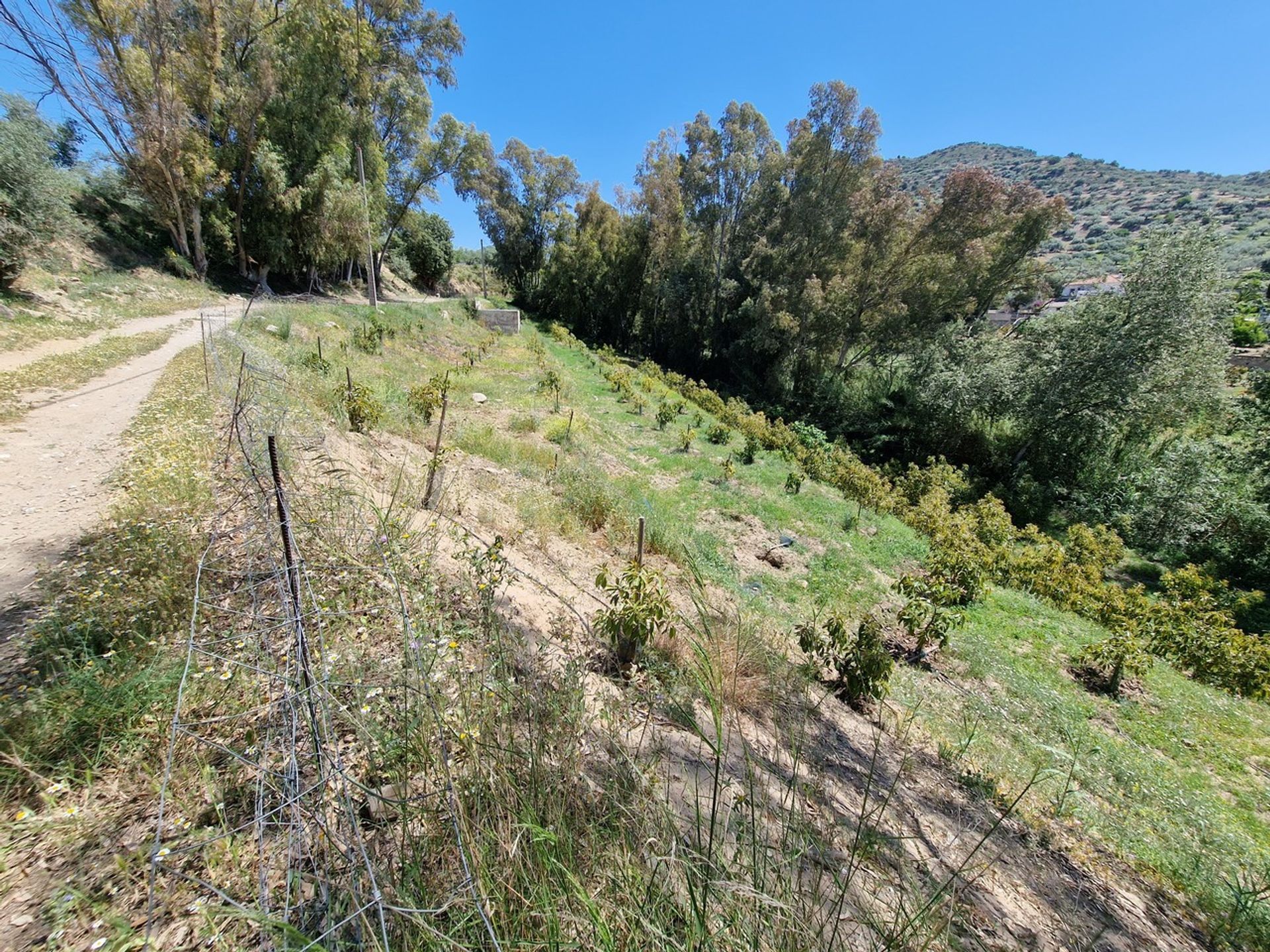 σπίτι σε , Andalucía 11082212