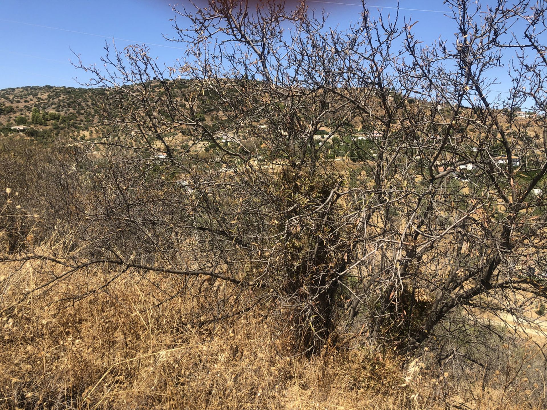 Terre dans Monda, Andalucía 11082213