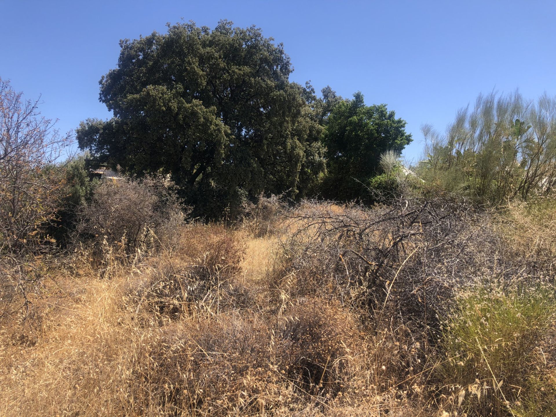 Terre dans Monda, Andalucía 11082213