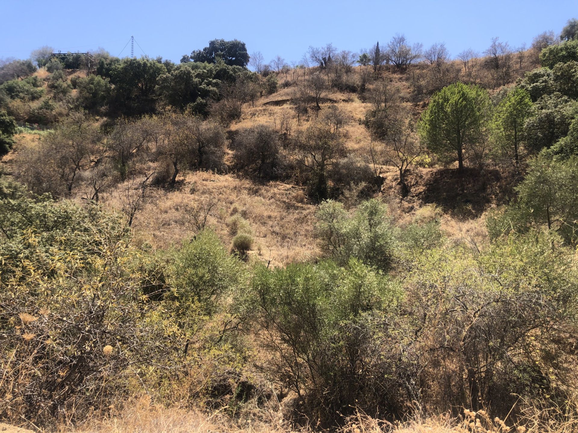 Terre dans Monda, Andalucía 11082213