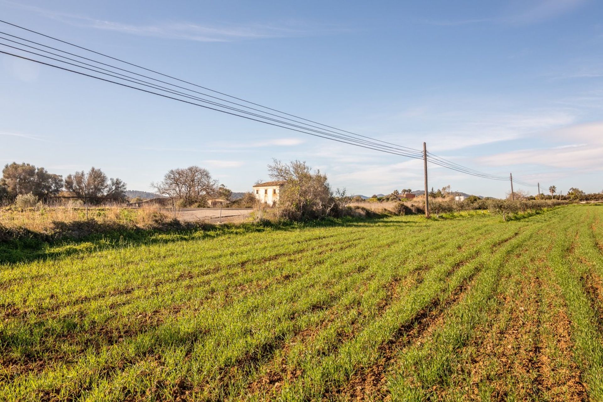 土地 在 Capdepera, Illes Balears 11082222