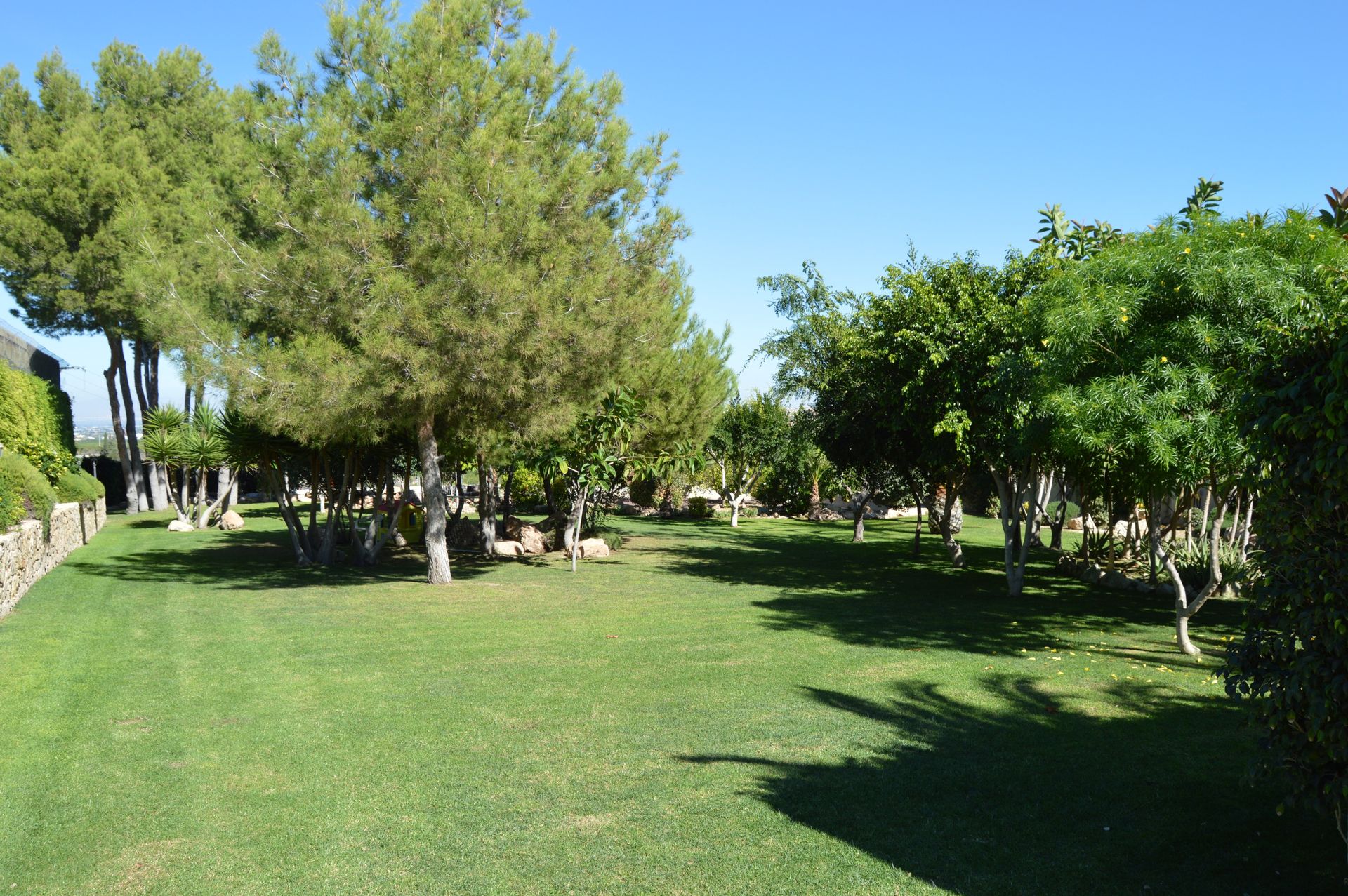 House in Algorfa, Valencia 11082431