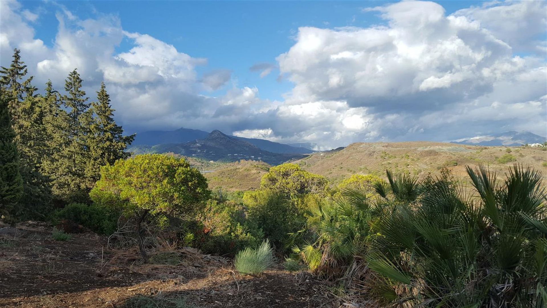 Land im Benahavis, Andalusien 11082751