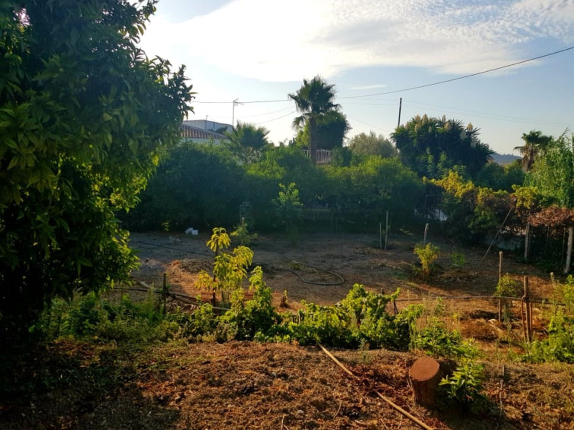 casa en Alhaurín el Grande, Andalucía 11083028