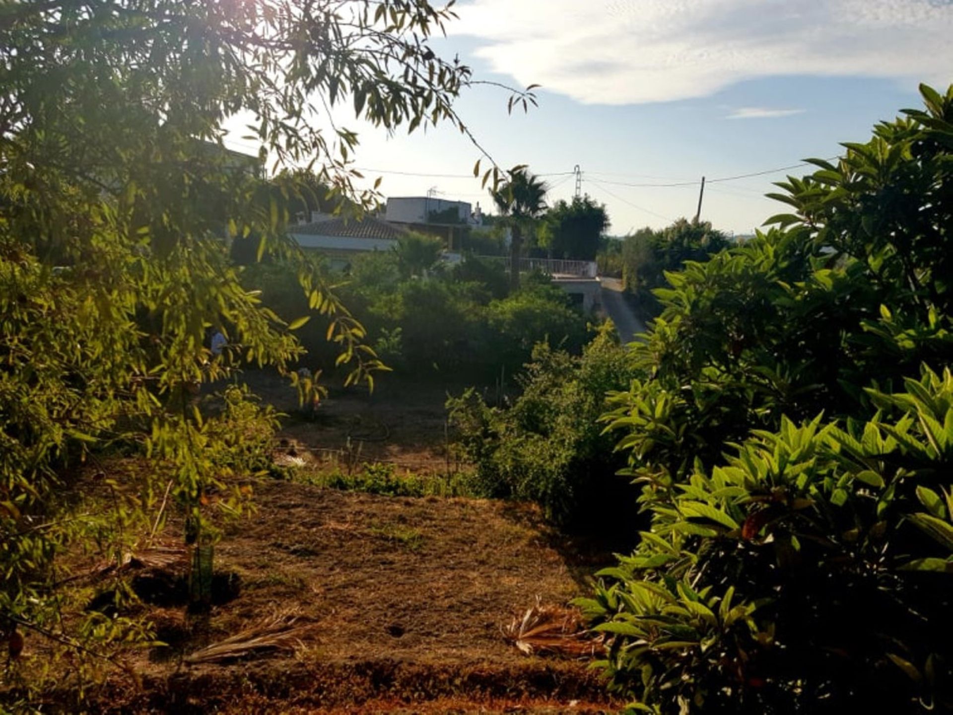 casa en Alhaurín el Grande, Andalucía 11083028