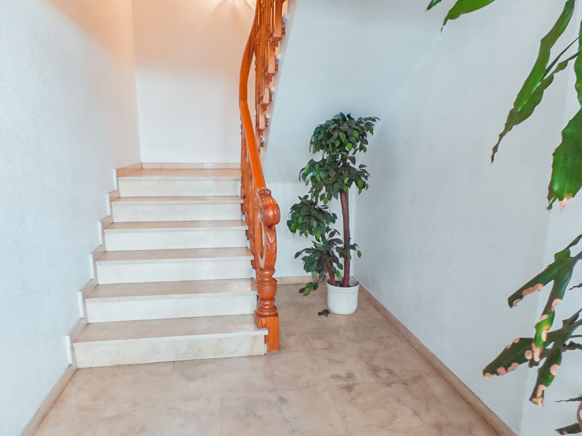 House in Oliva, Valencia 11083440