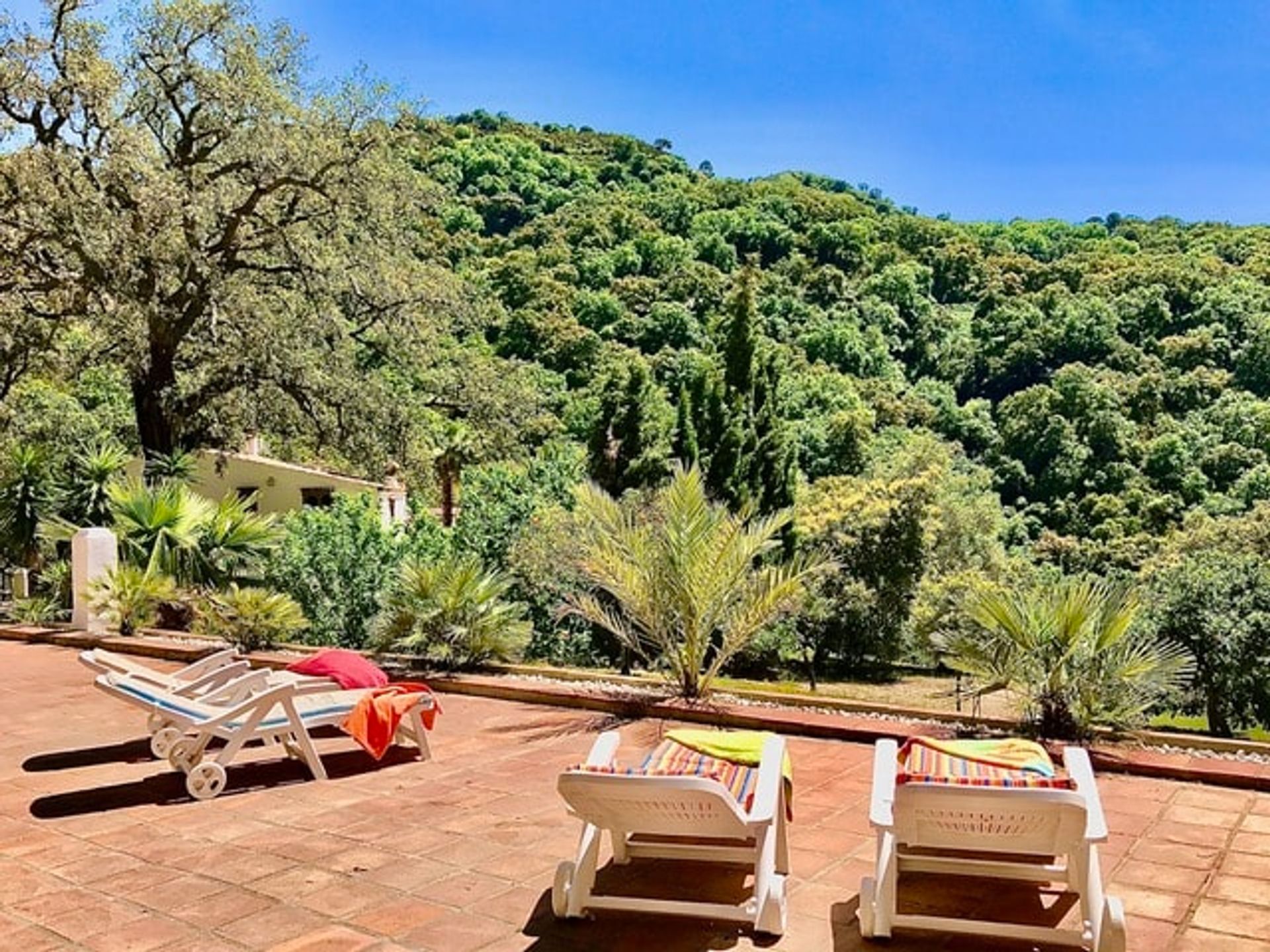 House in Ronda, Andalucía 11083445