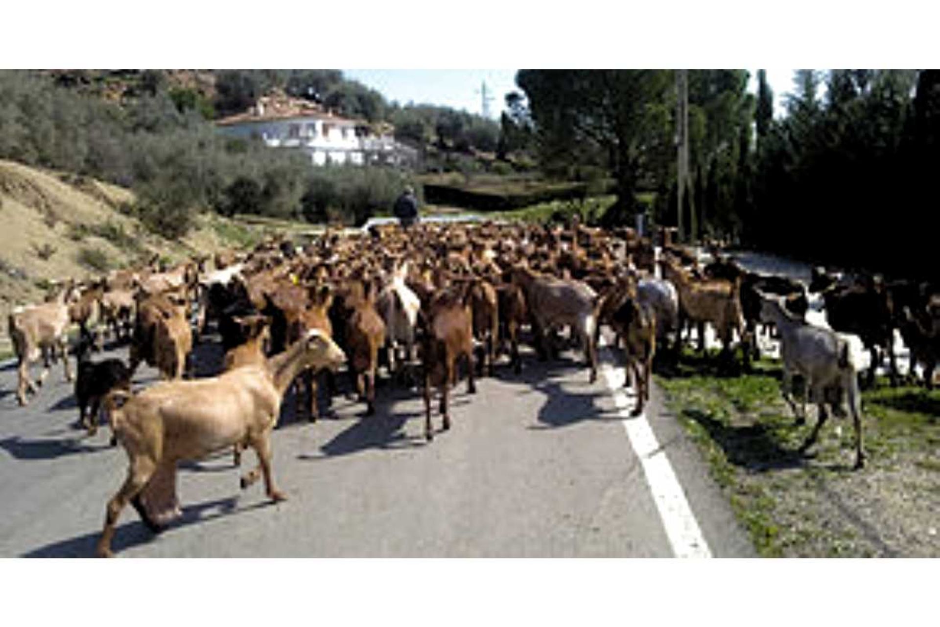 Huis in Periana, Andalucía 11083687