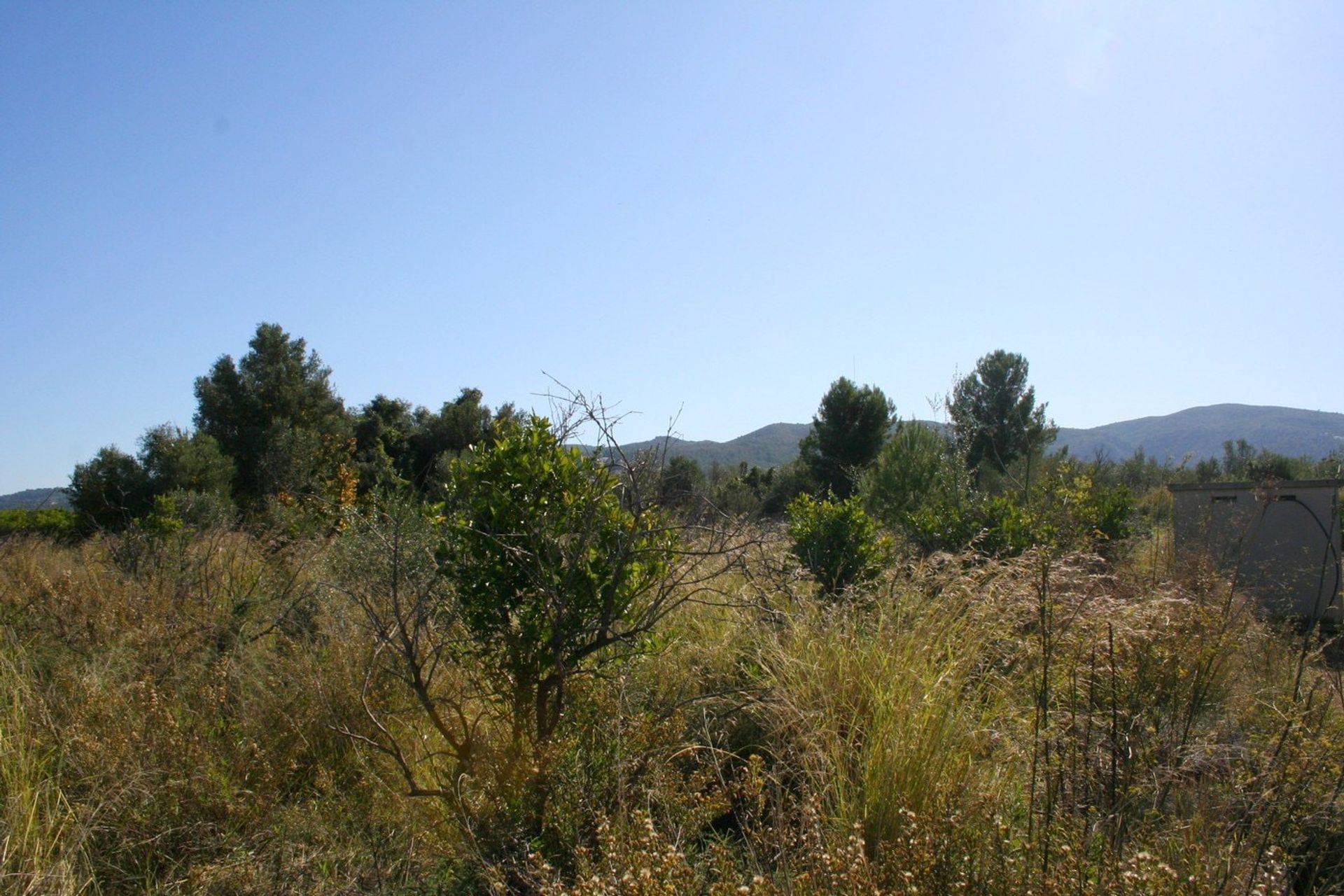 Land in Tormos, Valencia 11083751