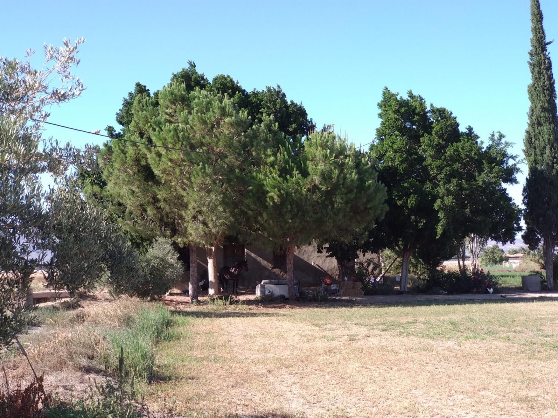 Tanah di Callosa de Segura, Valencia 11083940