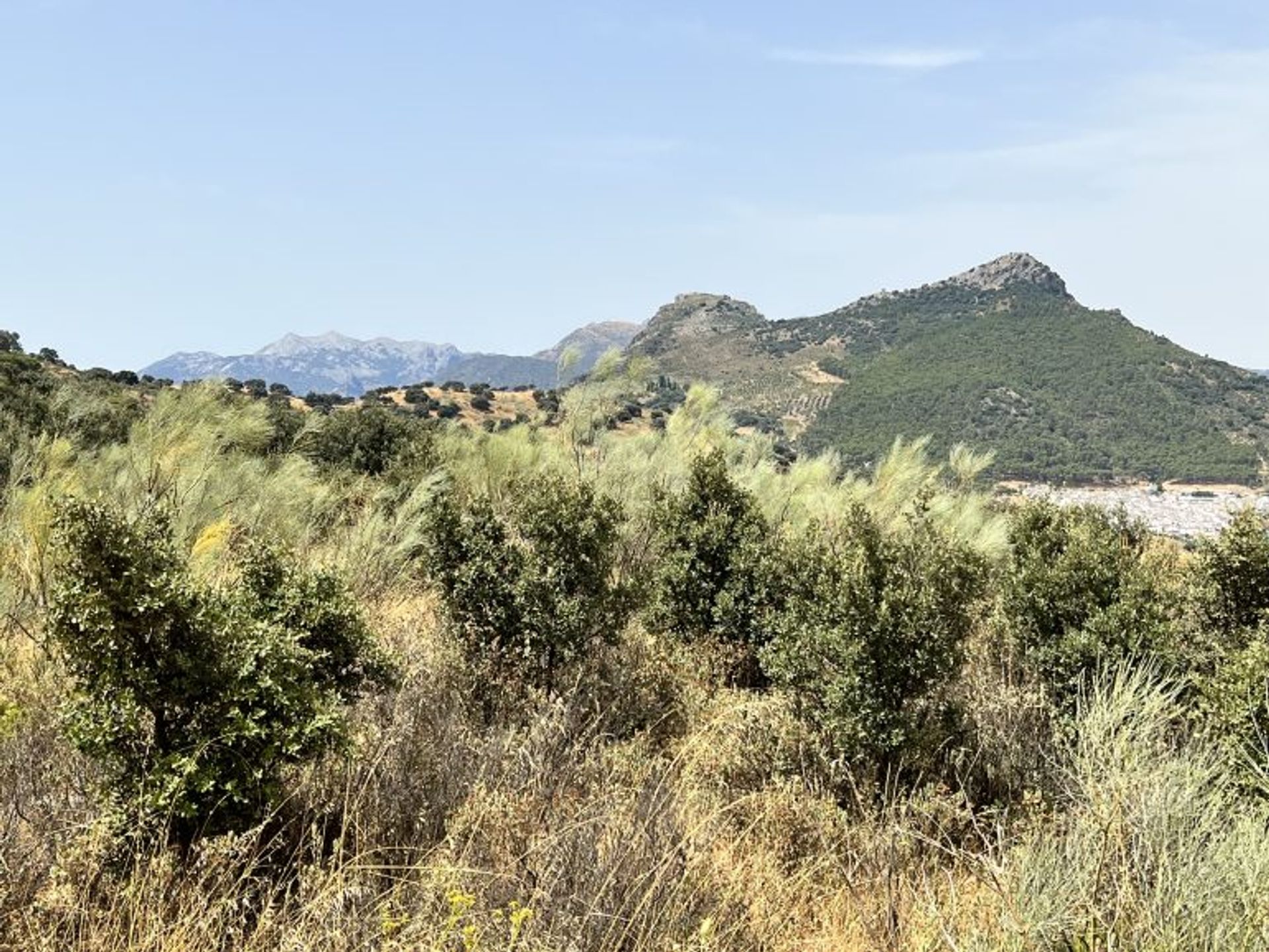 Rumah di El Gastor, Andalucía 11084201