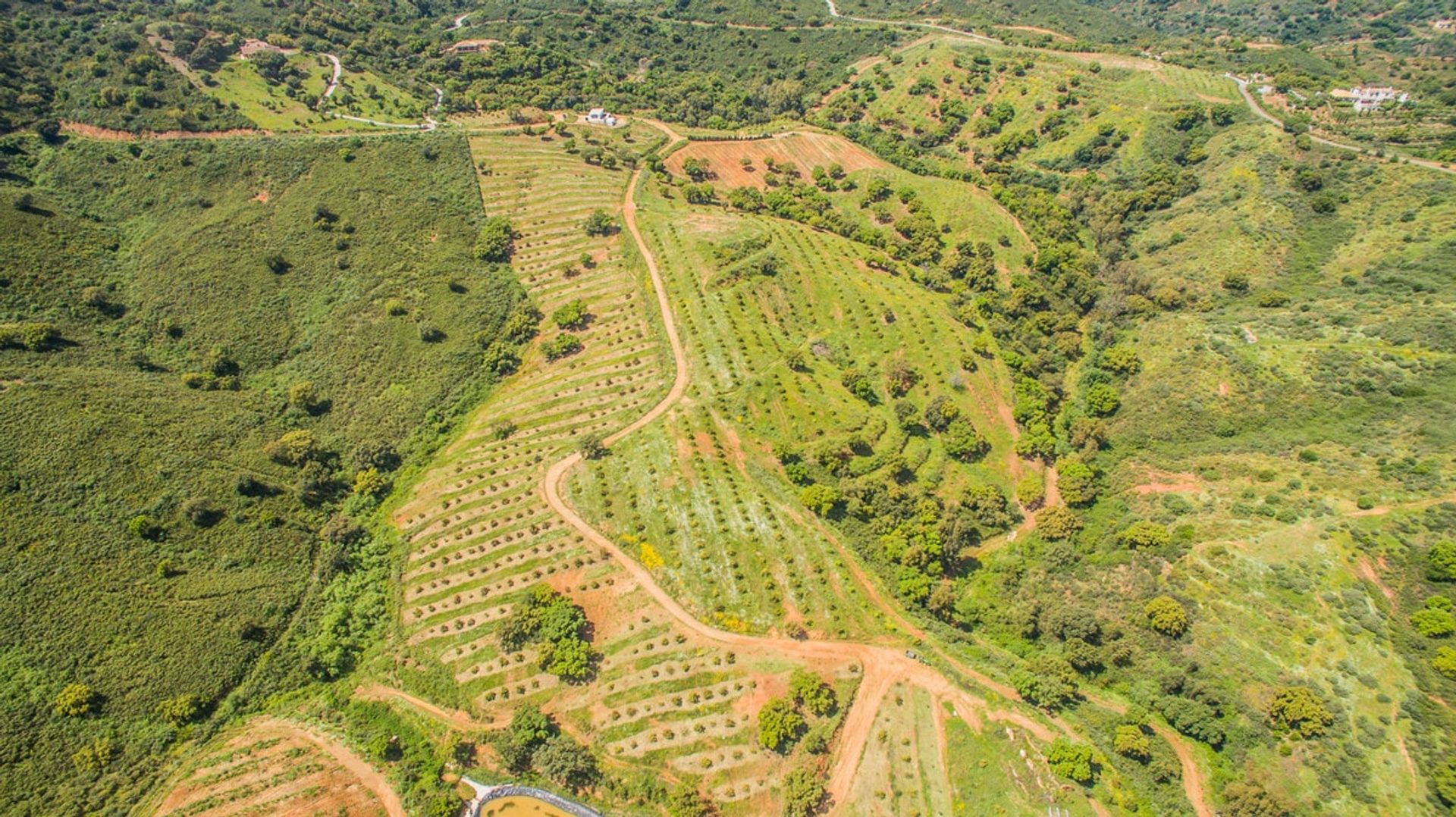 Land in Mijas, Andalucía 11084226