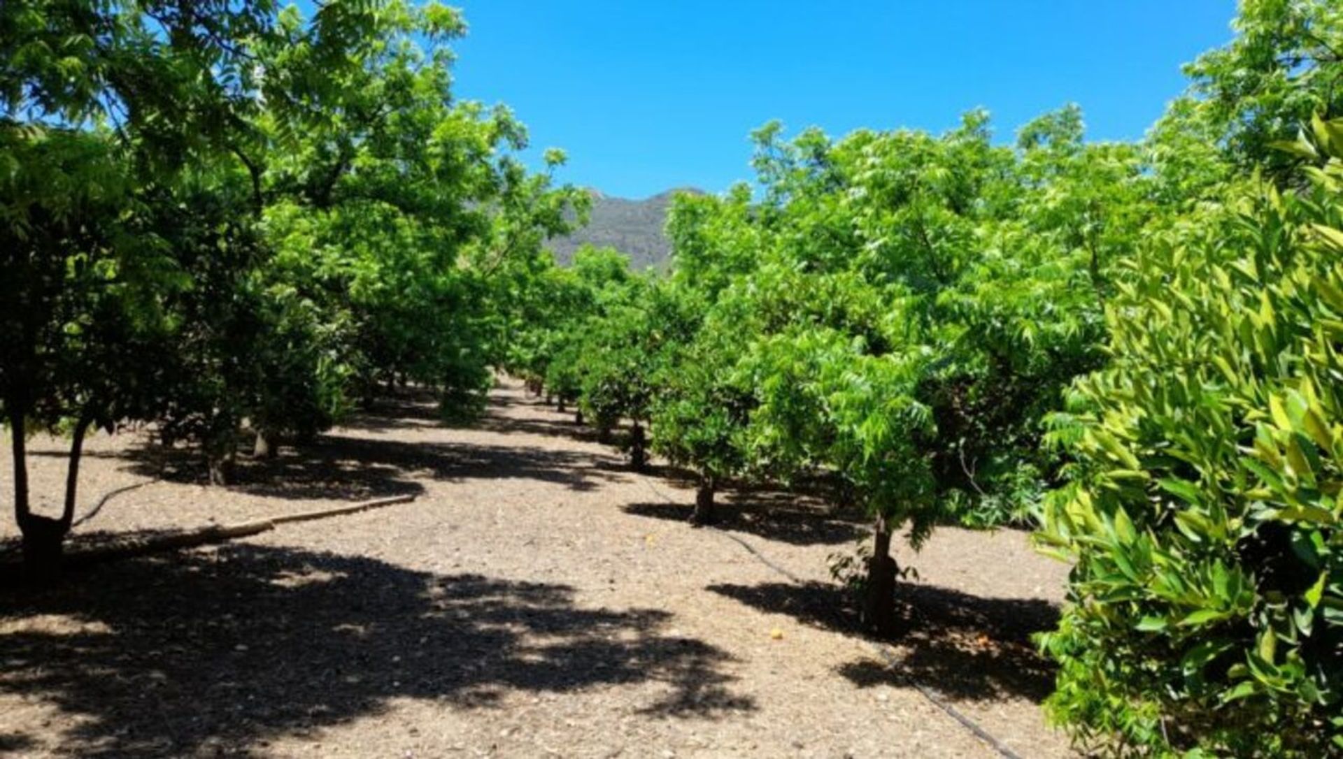 Talo sisään Álora, Andalucía 11084567