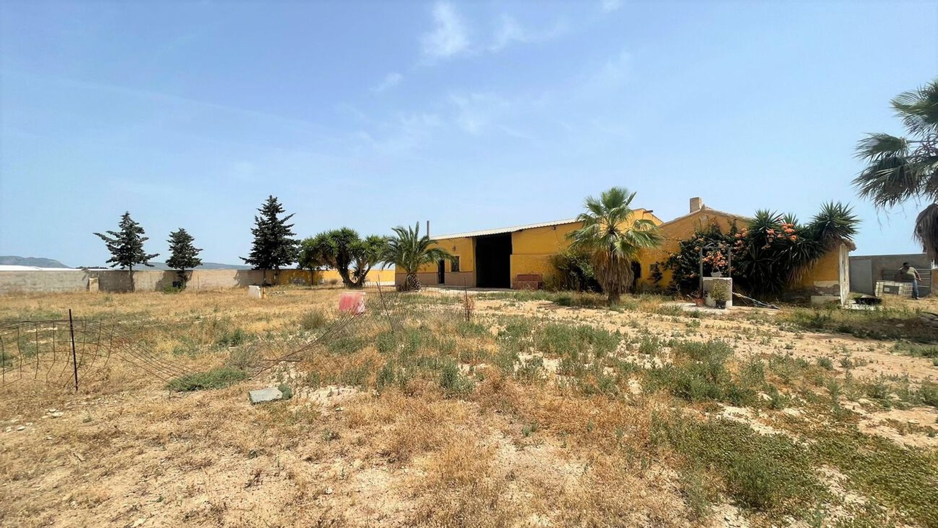 Land in Torre-Pacheco, Región de Murcia 11084640