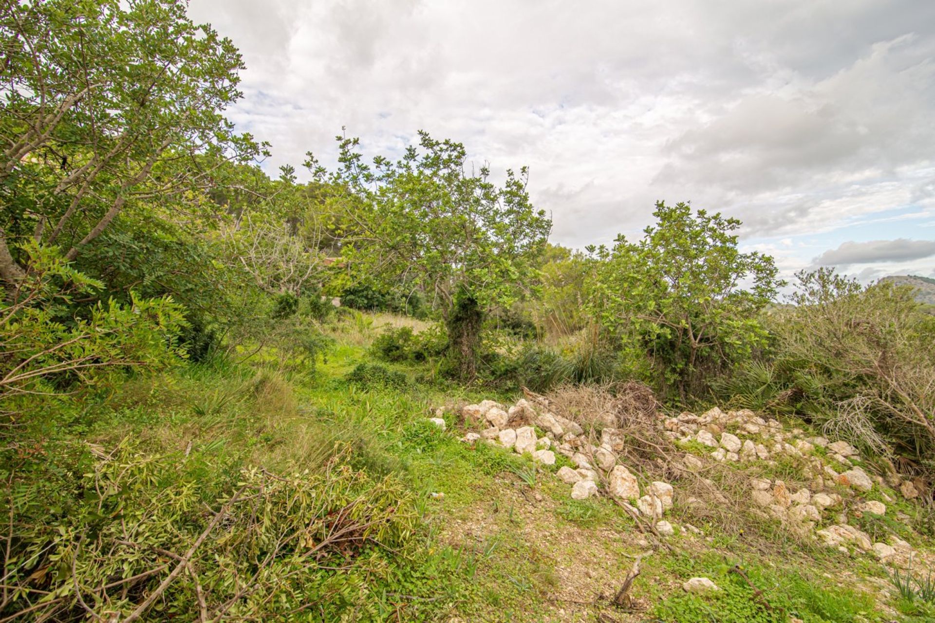 Land im Capdepera, Balearen 11084683