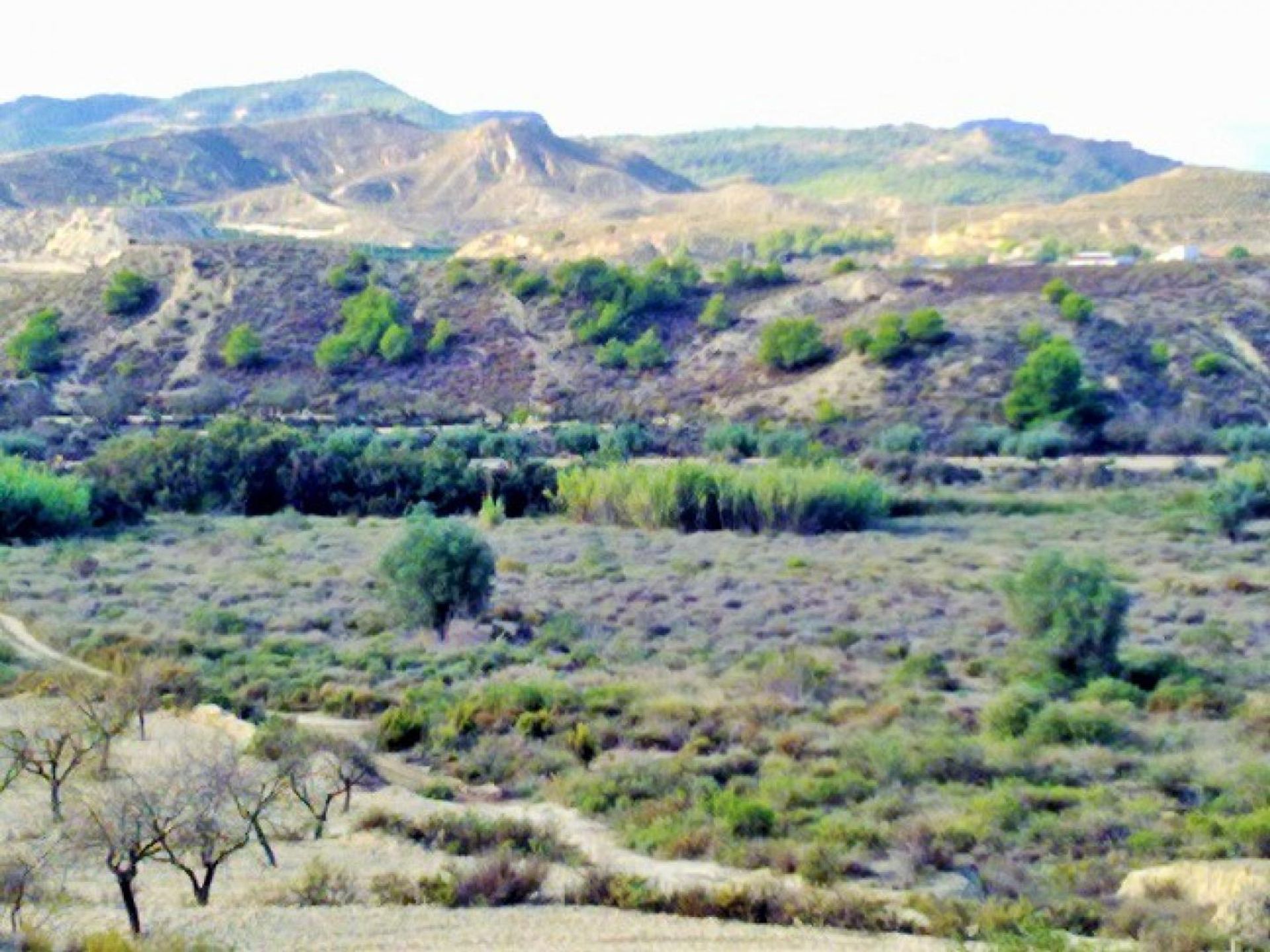 Tanah di Orihuela, Comunidad Valenciana 11084971