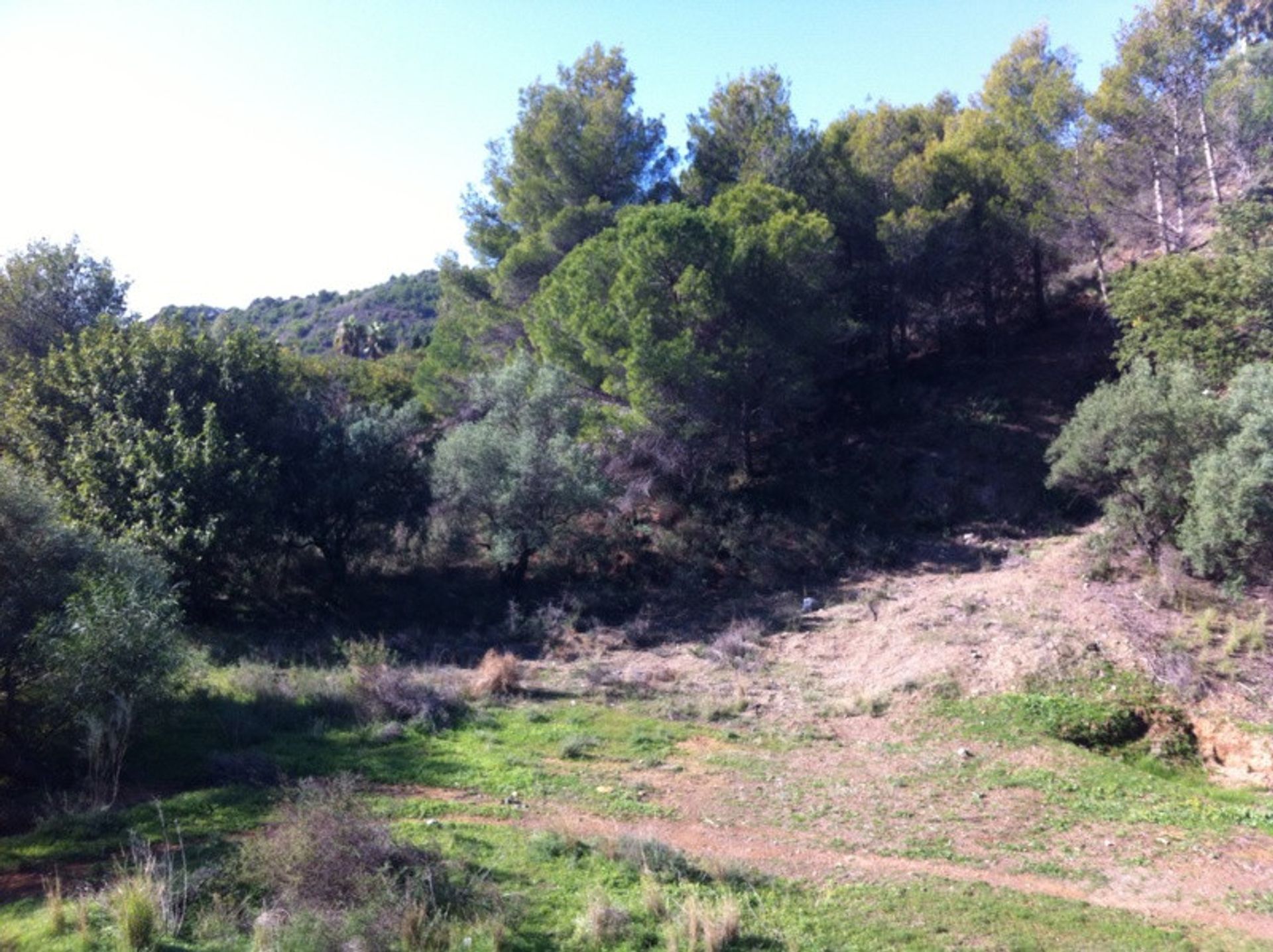 Terre dans Mijas, Andalousie 11085327