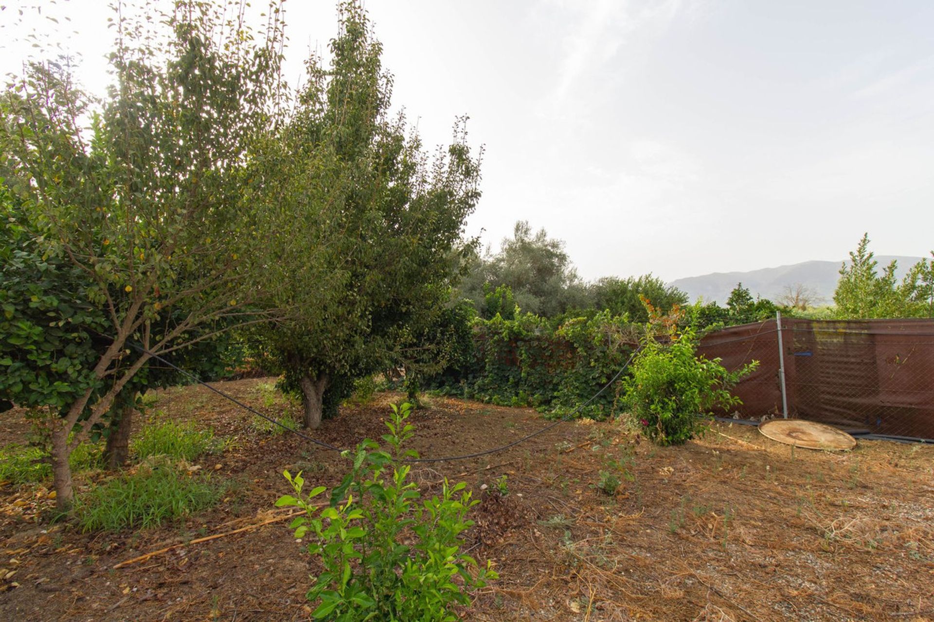 Land i Alhaurín el Grande, Andalucía 11085661