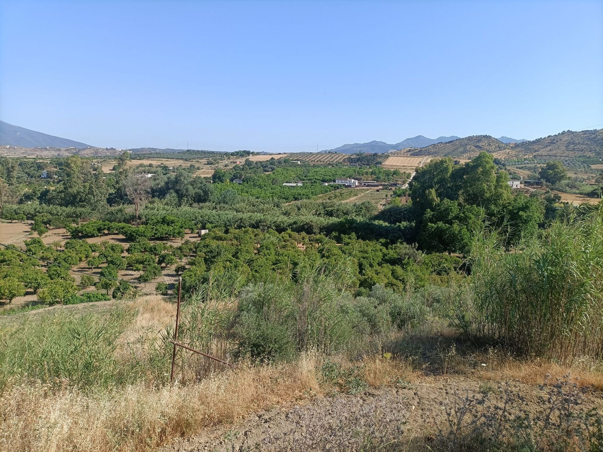 Land im Münze, Andalusien 11086183