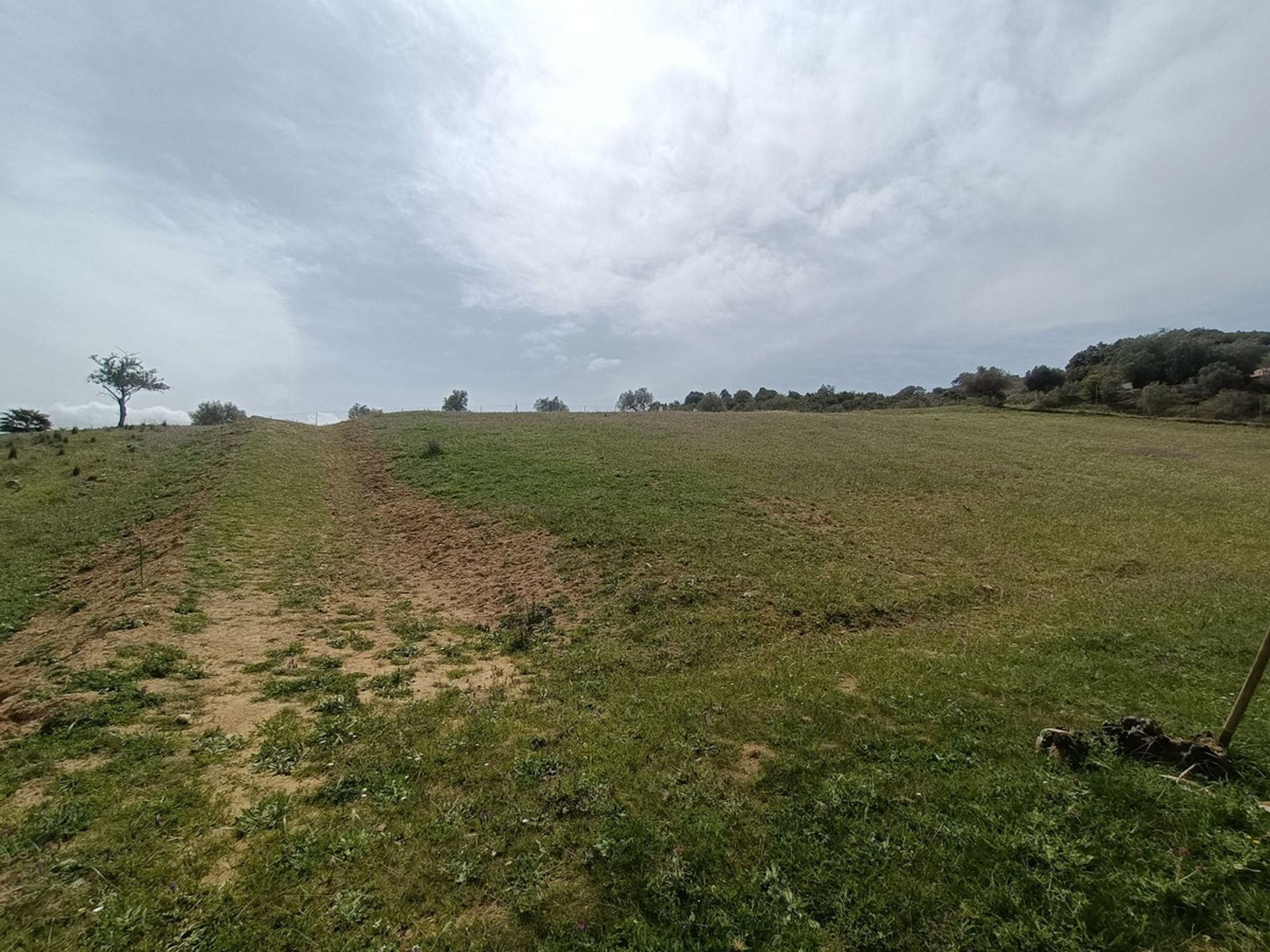 Terre dans Pièce de monnaie, Andalousie 11086326