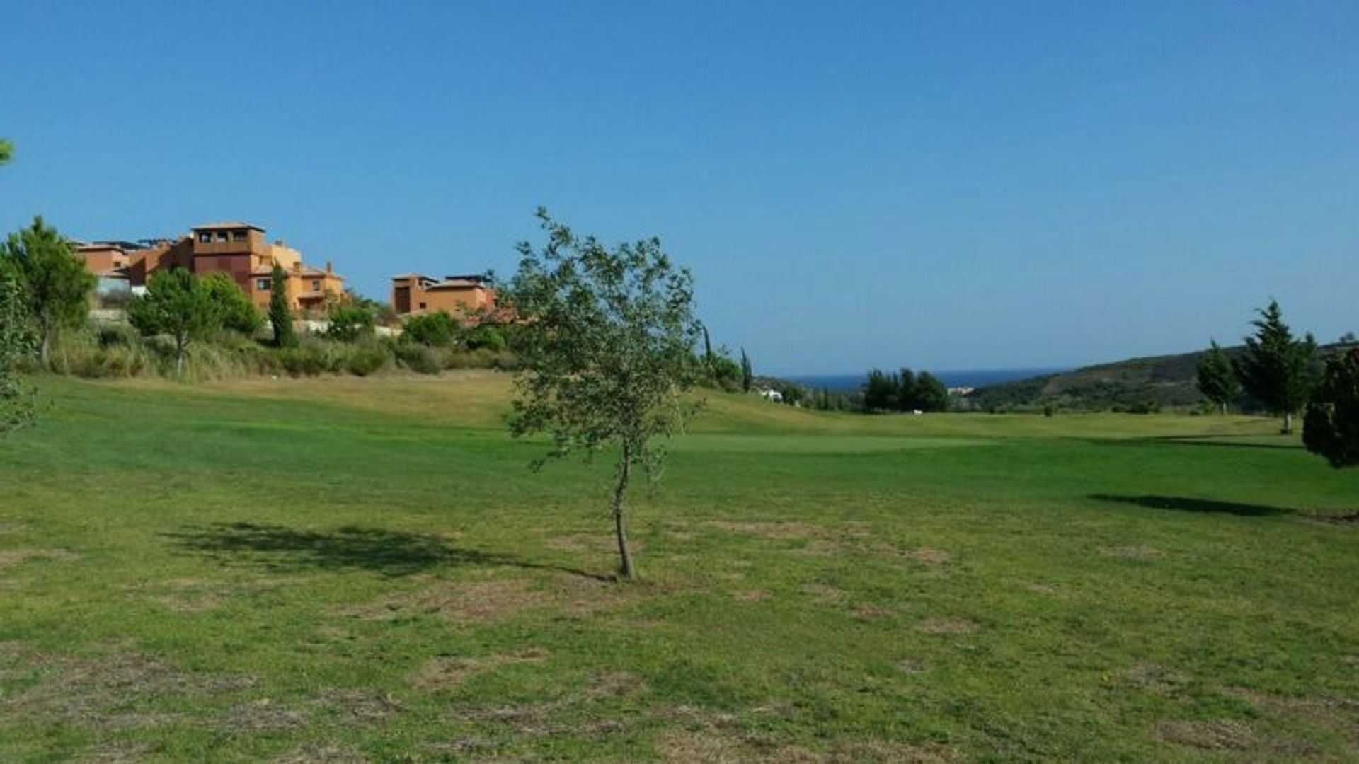 Terre dans Casares, Andalucía 11086397