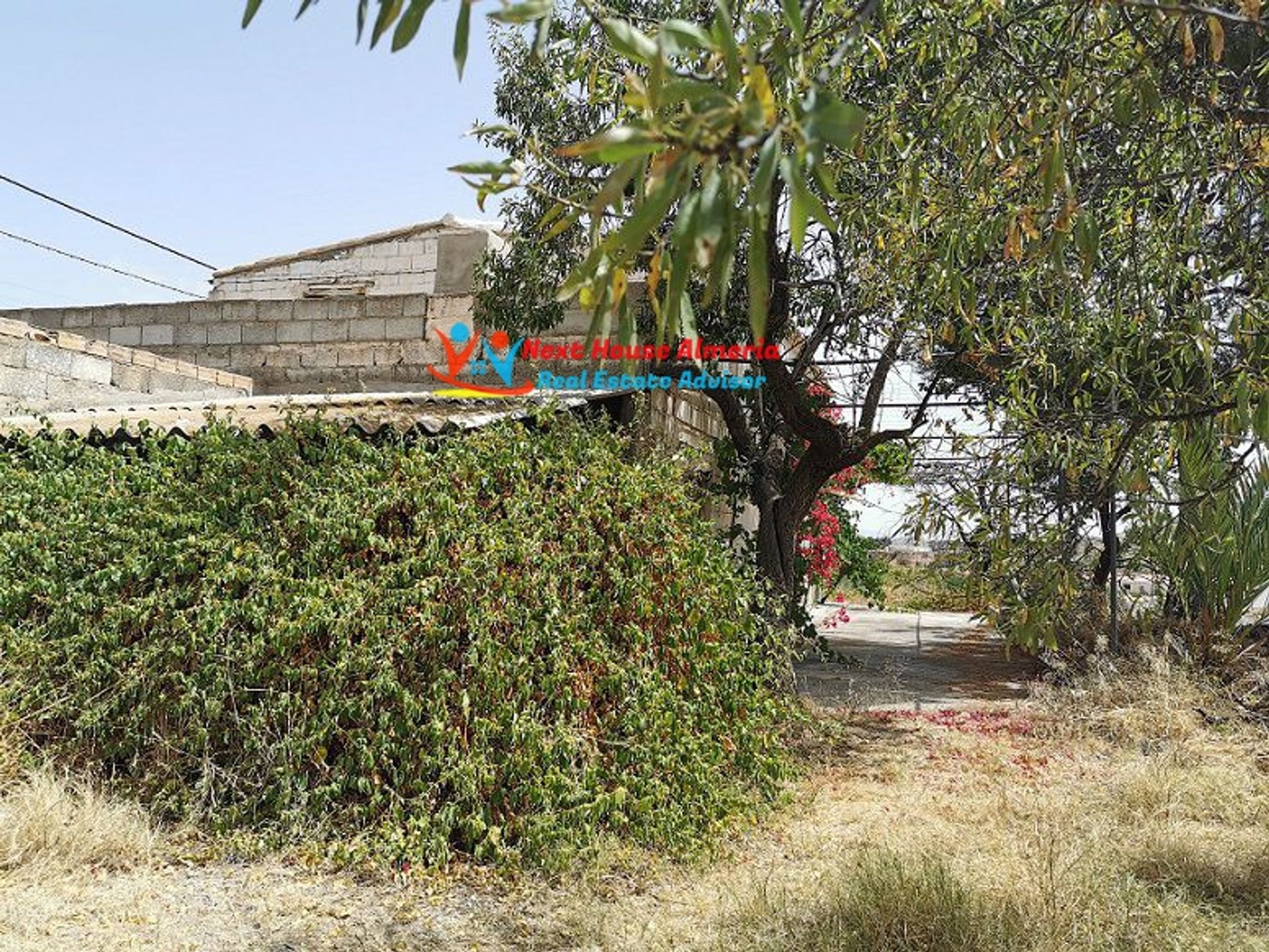 casa en Somontín, Andalucía 11086526