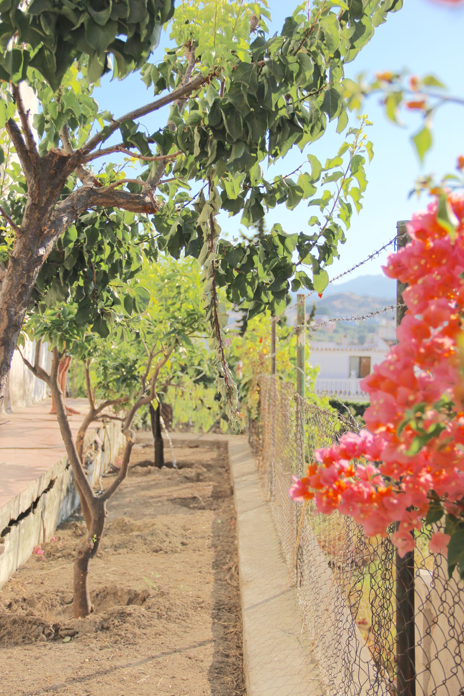 Dom w Coín, Andalucía 11086734