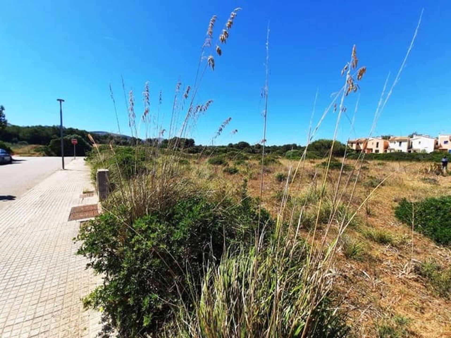 Land in Colonia de Sant Pere, Illes Balears 11086879