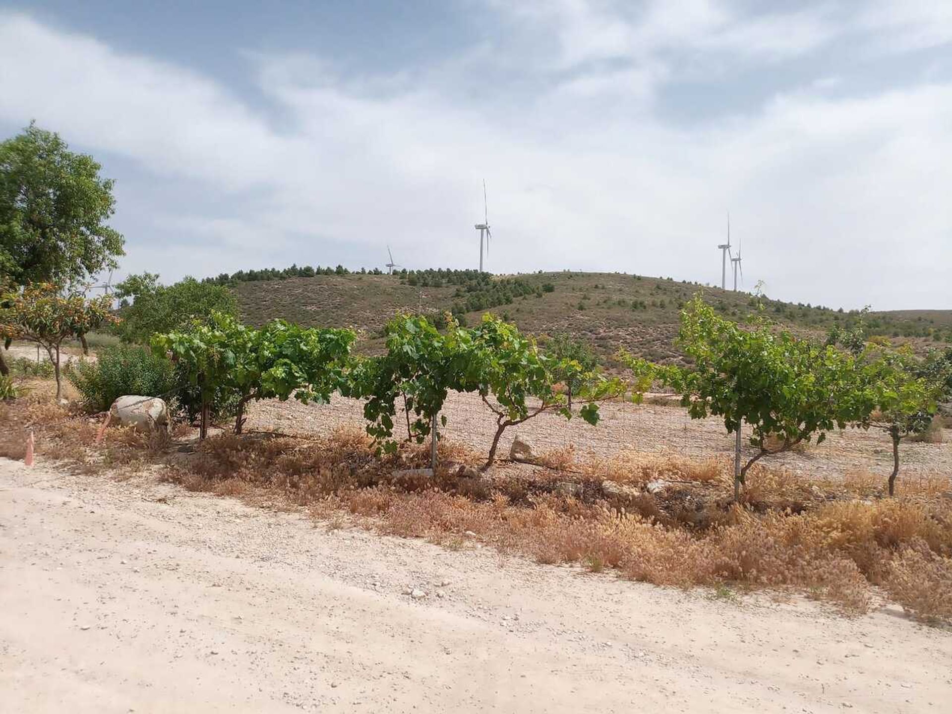 casa no Serón, Andalucía 11086914