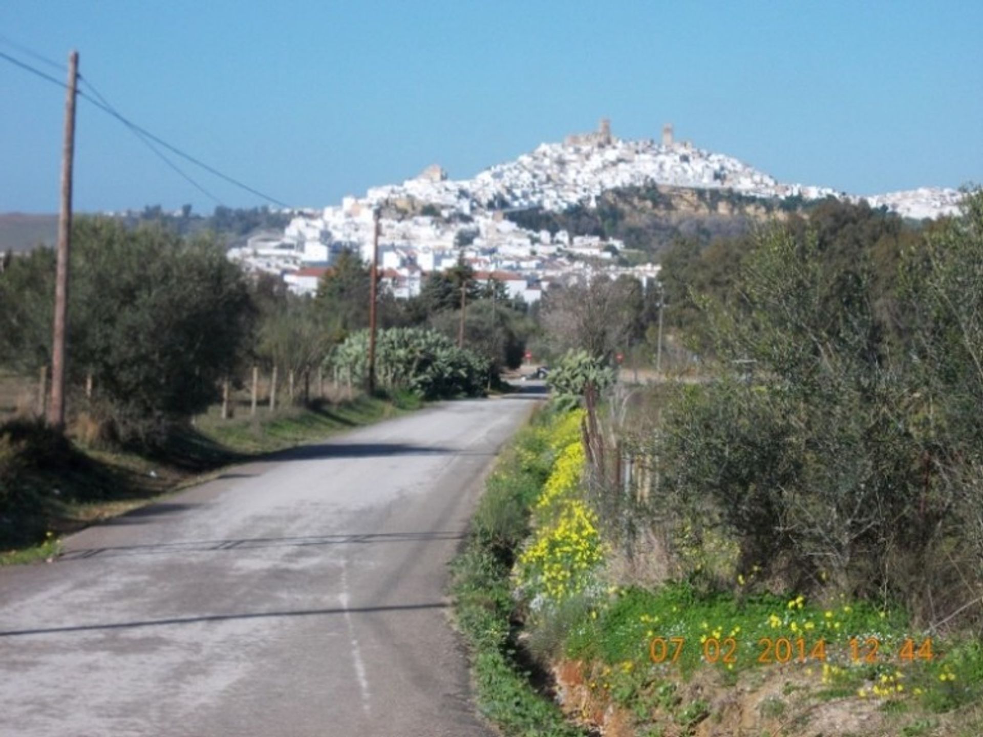 Land in Arcos de la Frontera, Andalucía 11087023