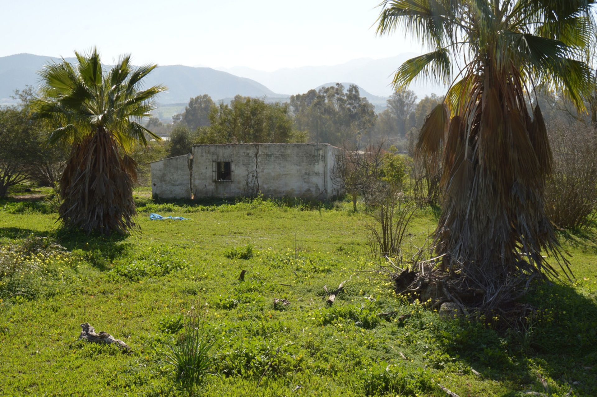 Tanah di Estación de Cártama, Andalucía 11087120