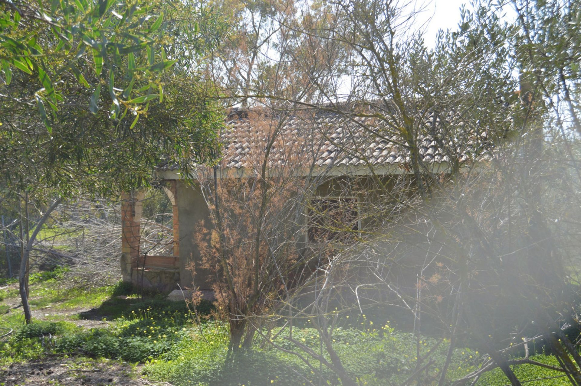 Wylądować w Estación de Cártama, Andalucía 11087120