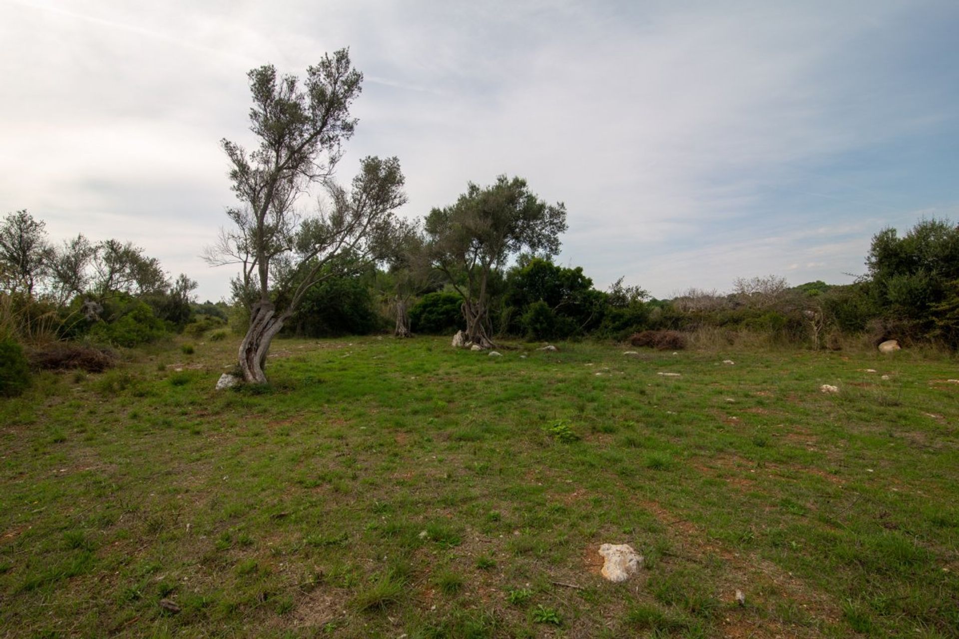 Land in Capdepera, Illes Balears 11087309