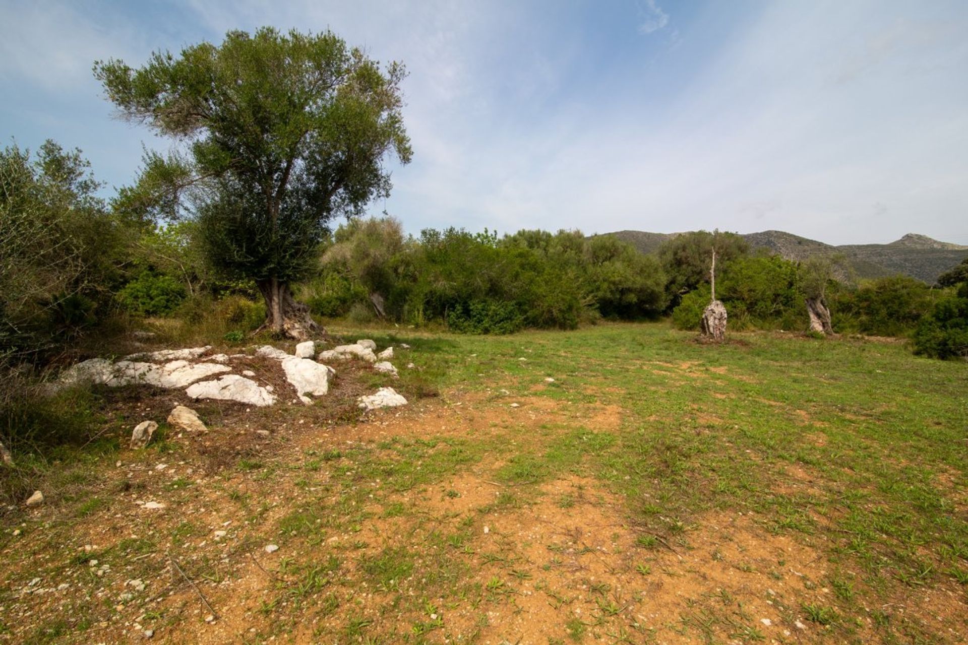 Land in Capdepera, Illes Balears 11087309