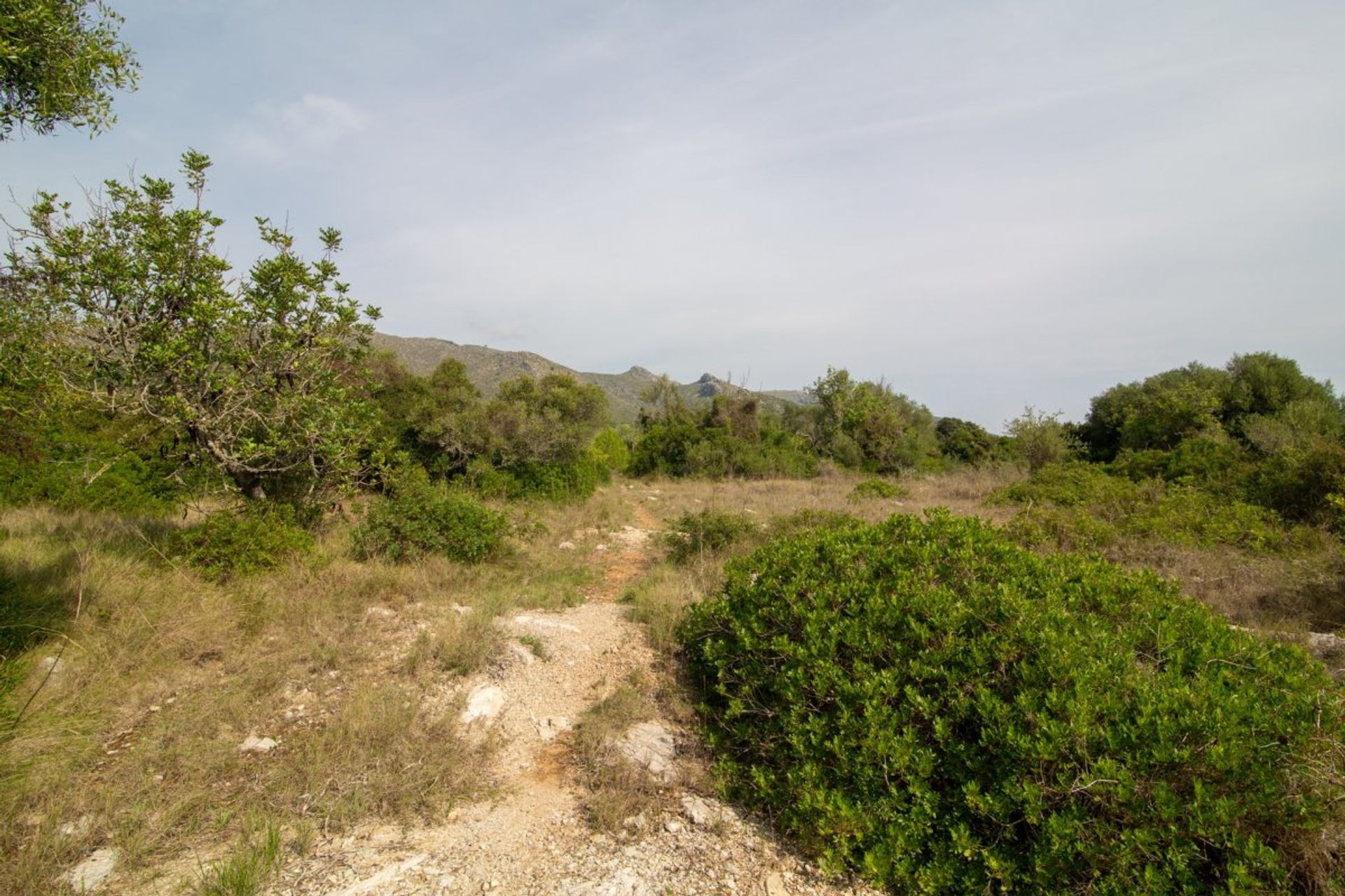 Land in Capdepera, Illes Balears 11087309