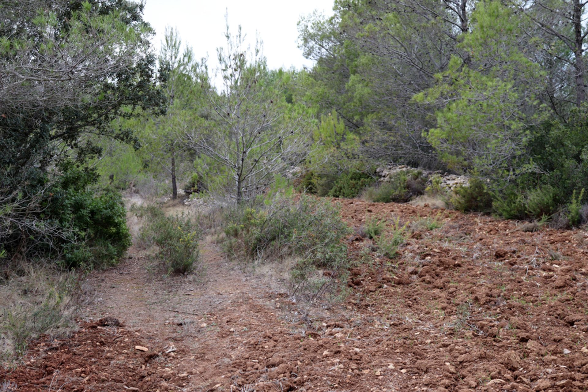 Tanah di Xaló, Comunidad Valenciana 11087319