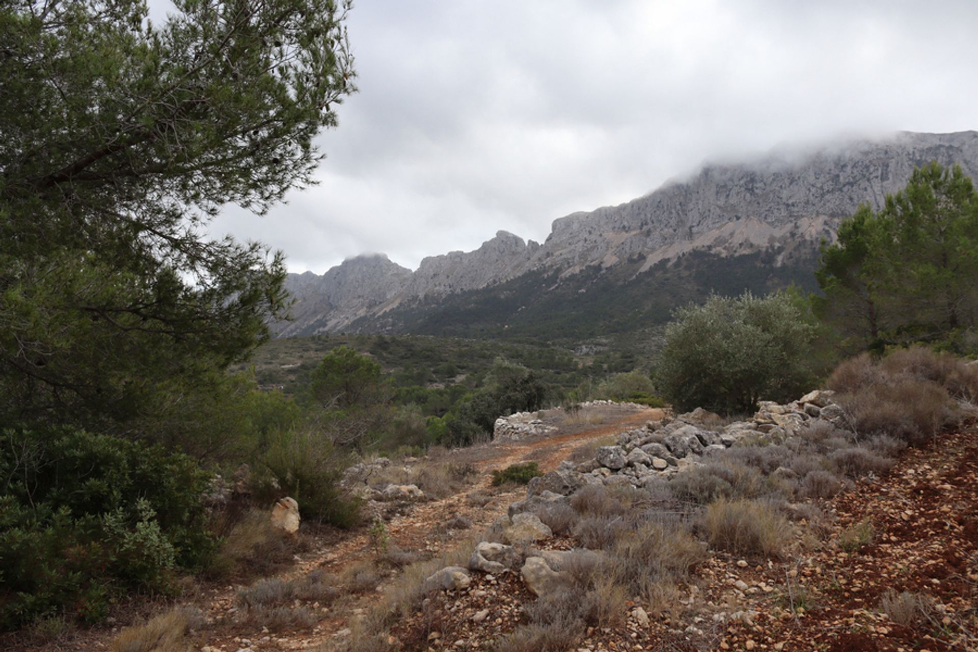 Tanah di Xaló, Comunidad Valenciana 11087319