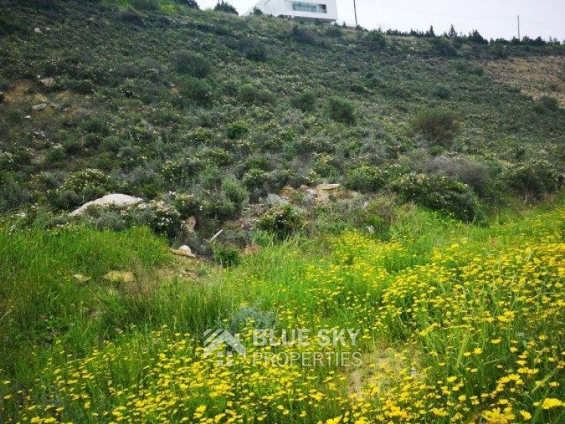 Land i Limassol, Lemesos 11087666