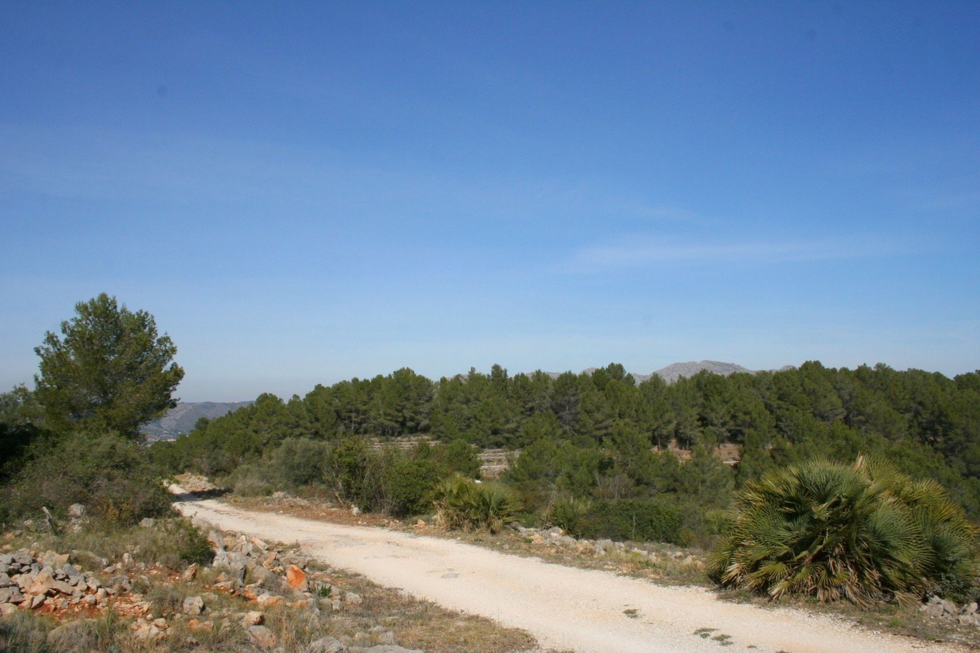 Tanah di Benidoleig, Valencia 11087853