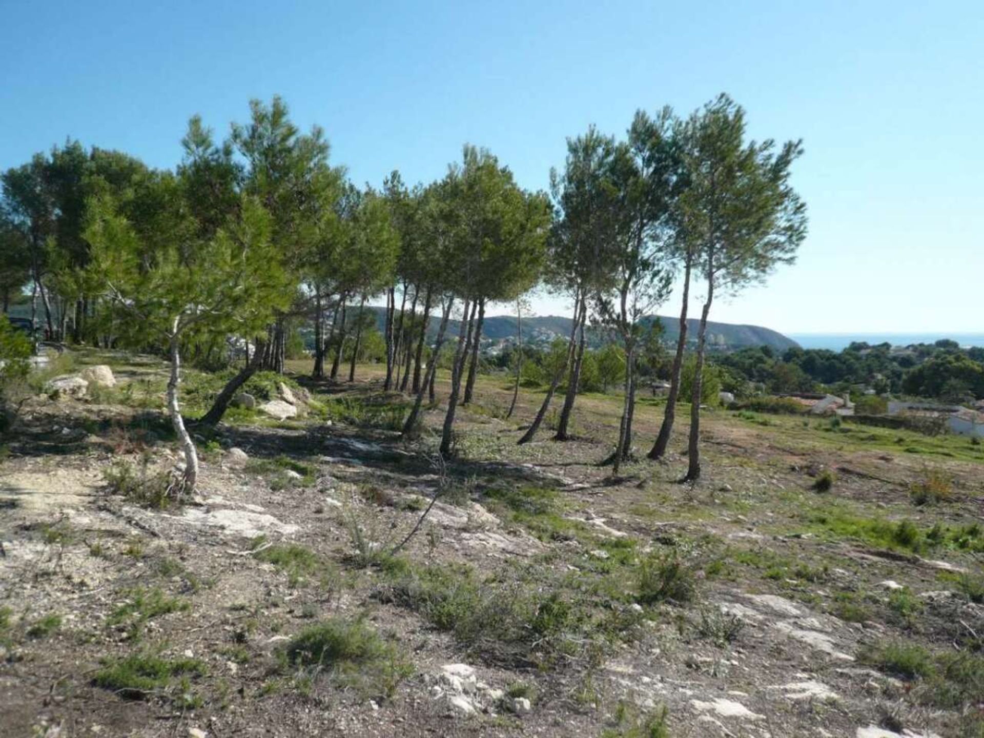 Land im Teulada, Comunidad Valenciana 11087878