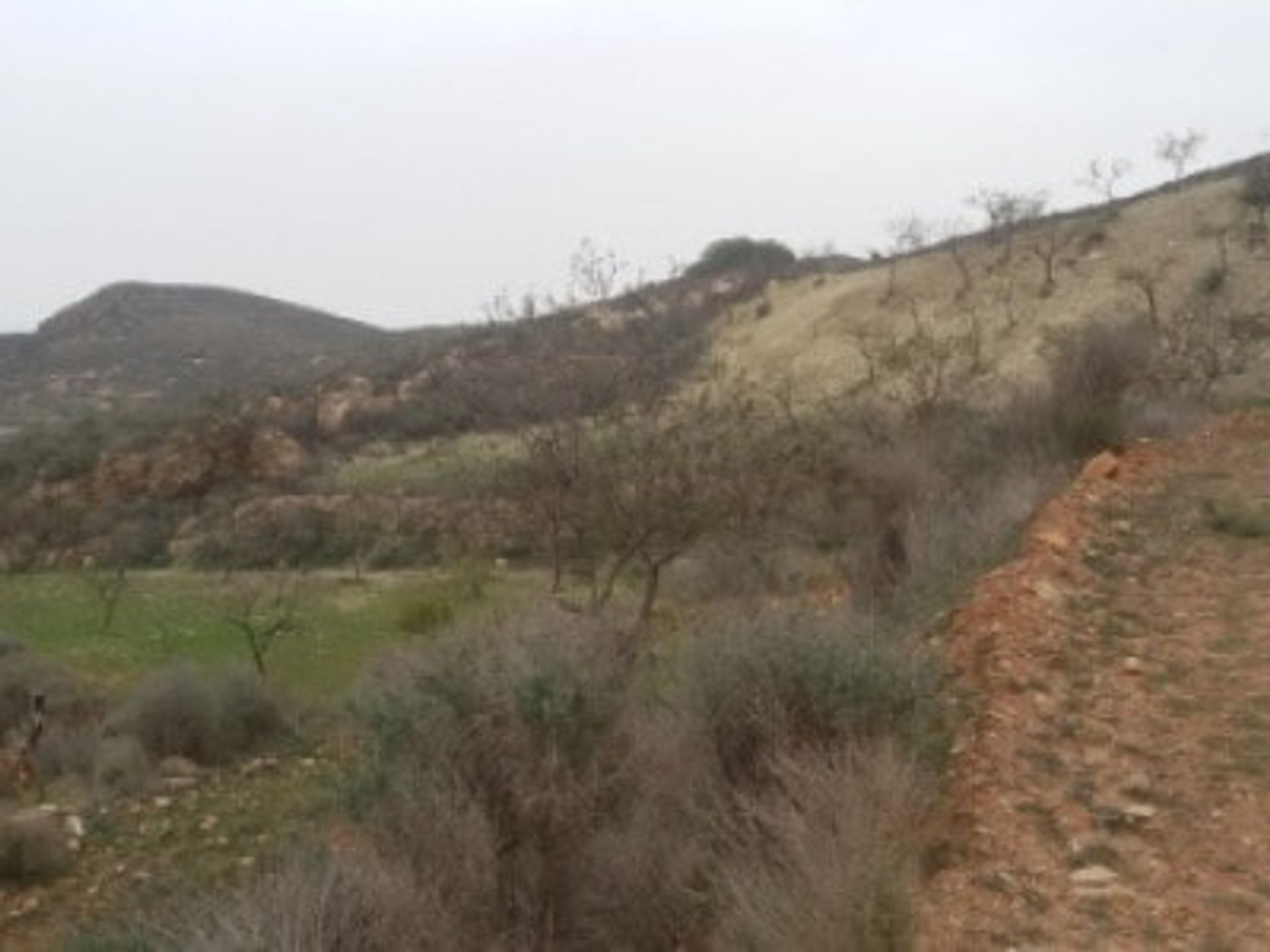 Tanah dalam Bédar, Andalucía 11088042