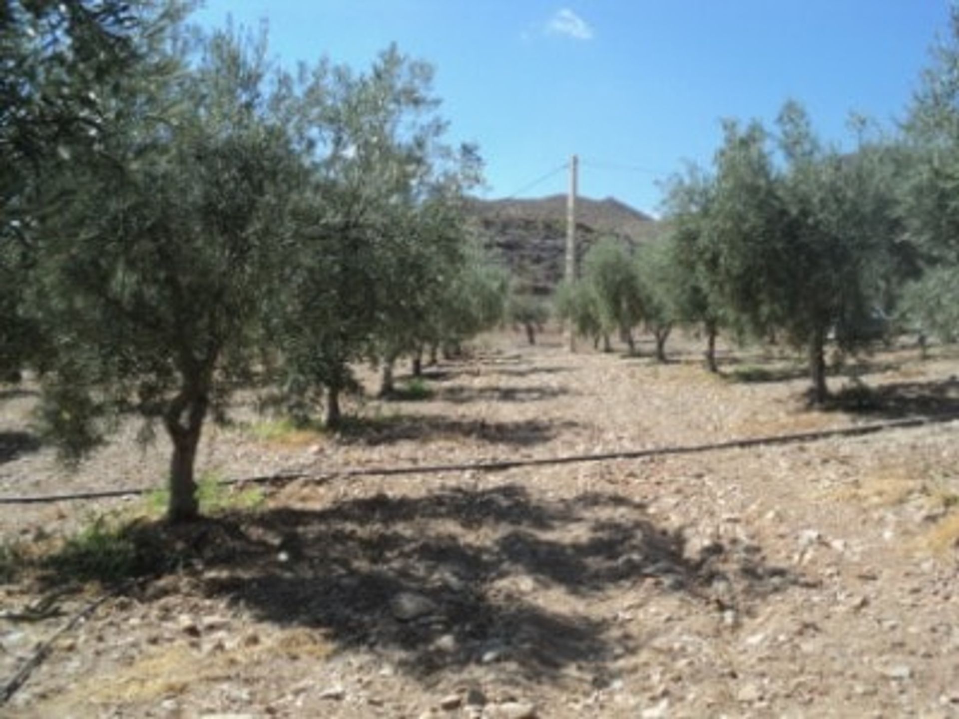 Будинок в Uleila del Campo, Andalucía 11088097