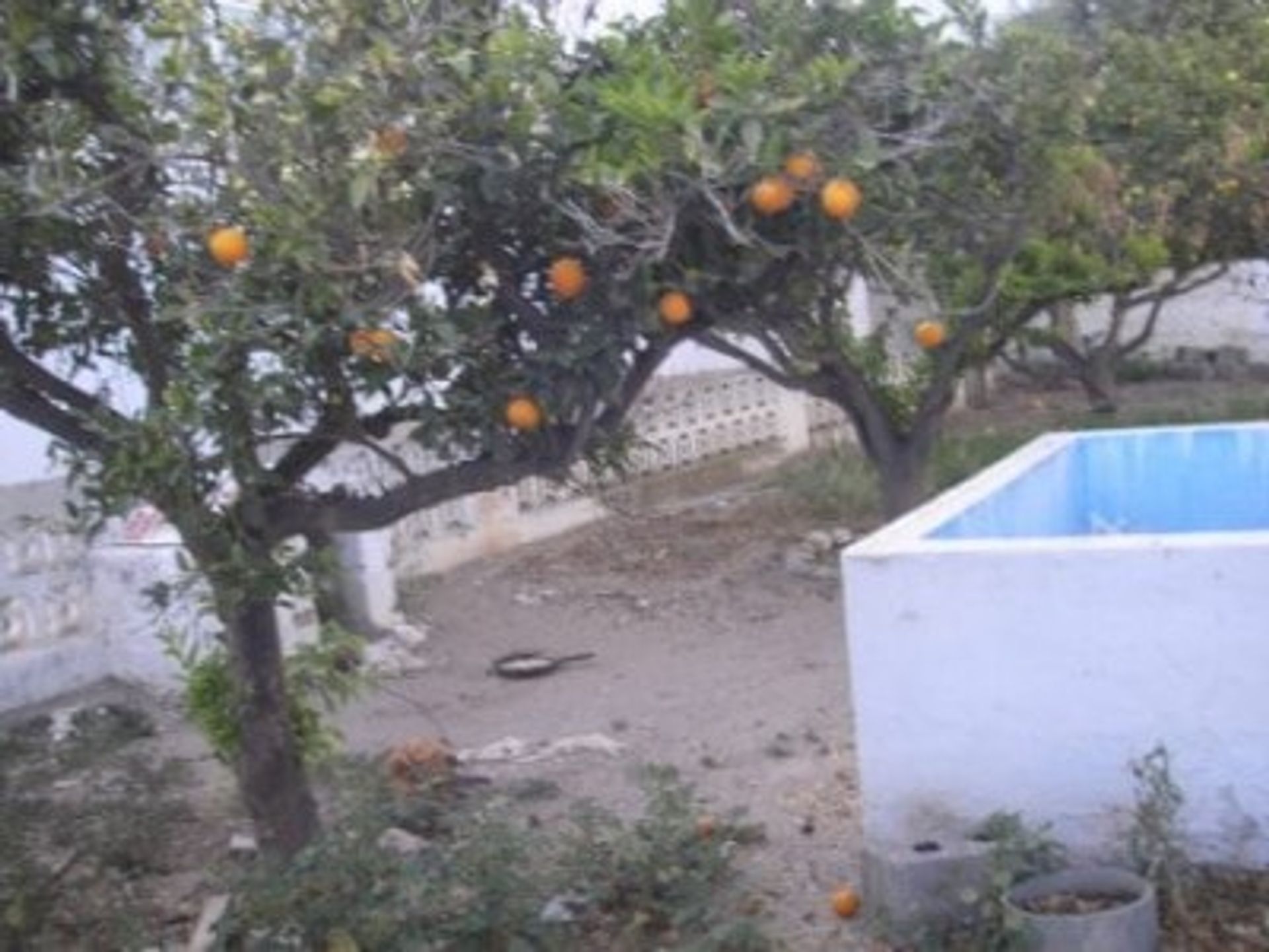 Hus i Cuevas del Almanzora, Andalucía 11088120