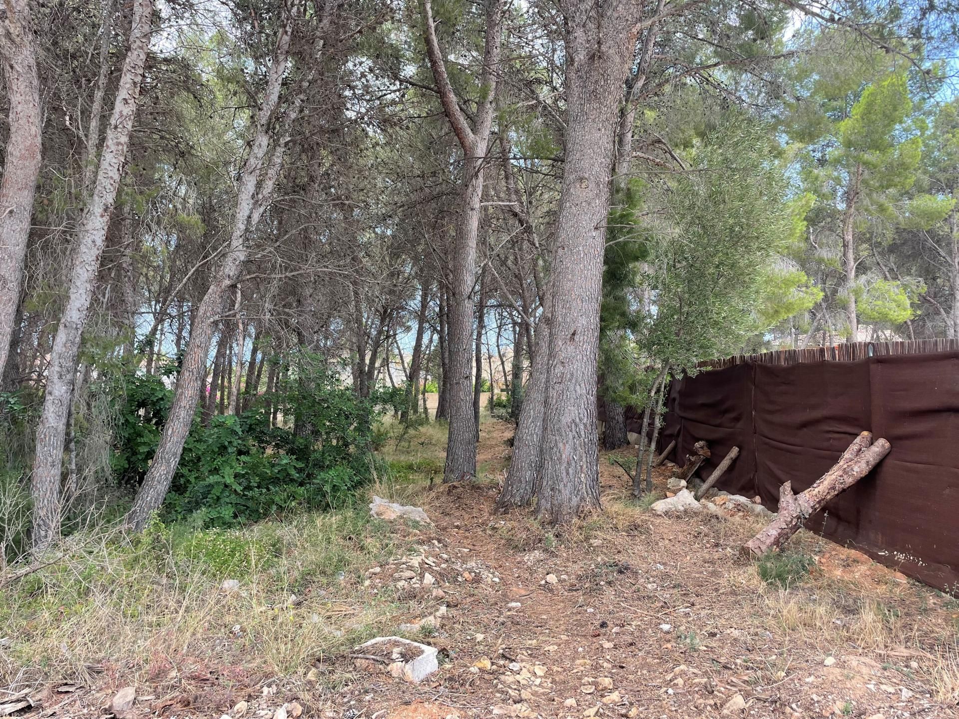 Tierra en Altea la Vieja, Valencia 11088127