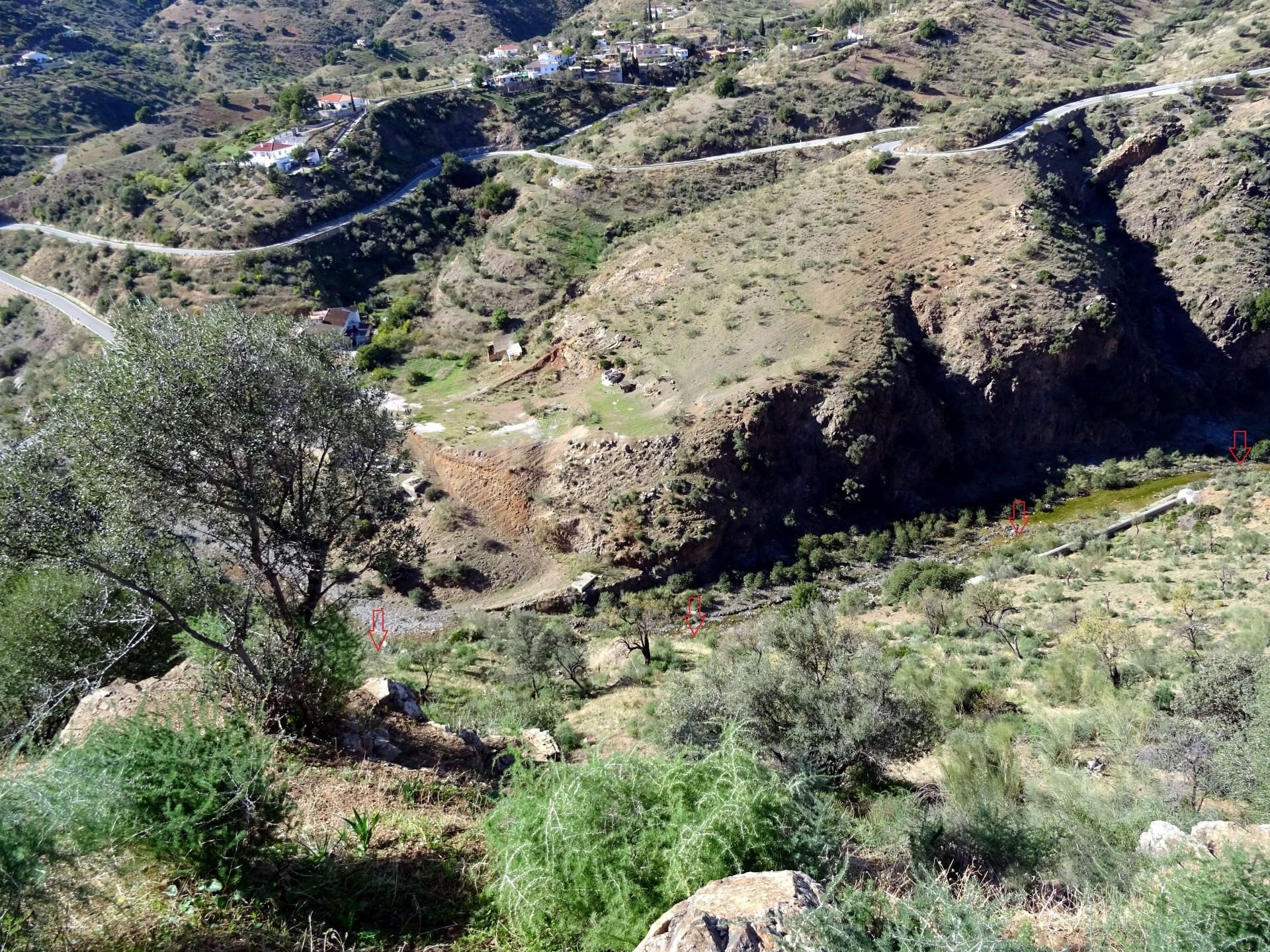 Terre dans Almogía, Andalousie 11088628